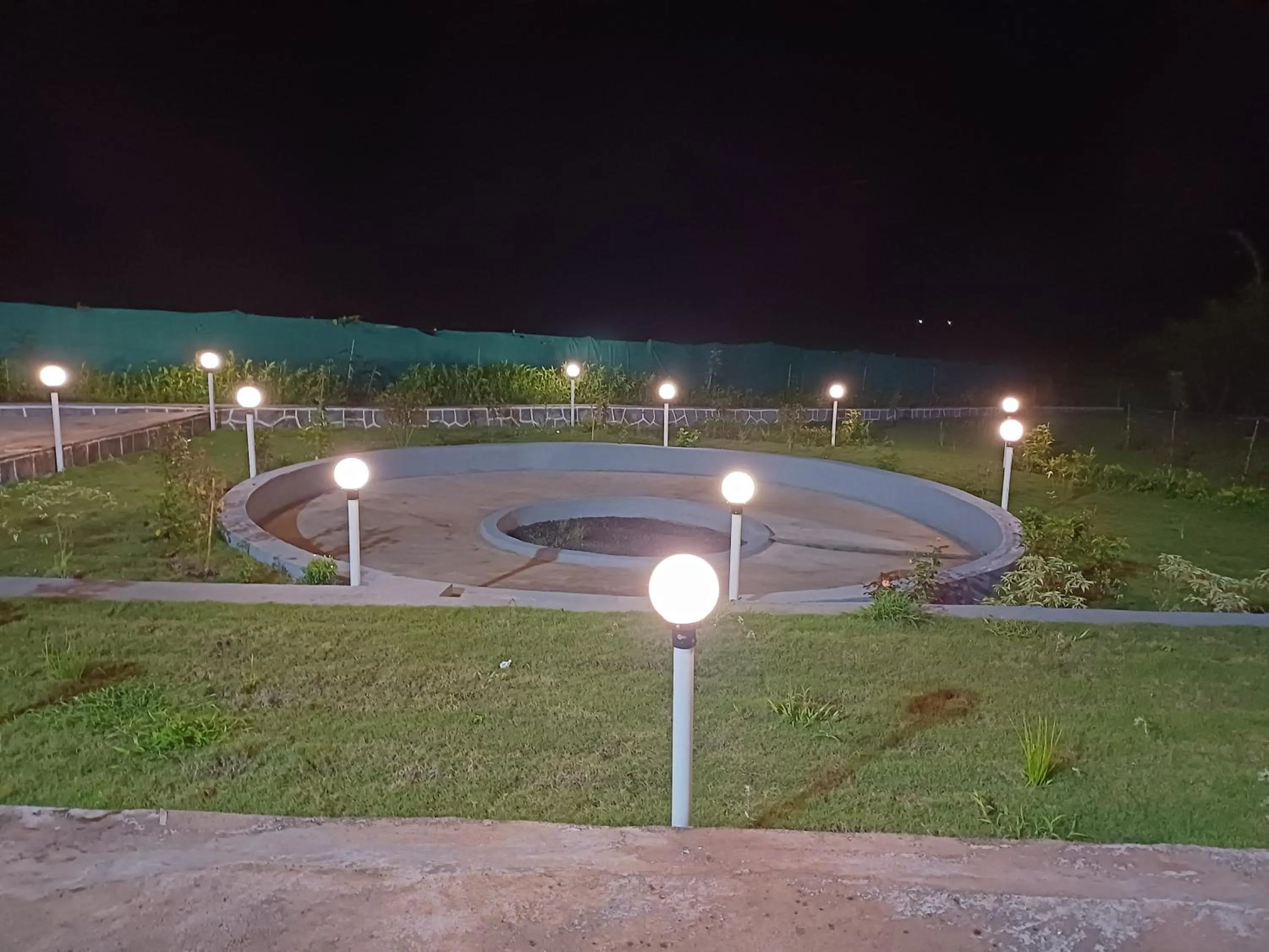 Garden in The Malshej Mist