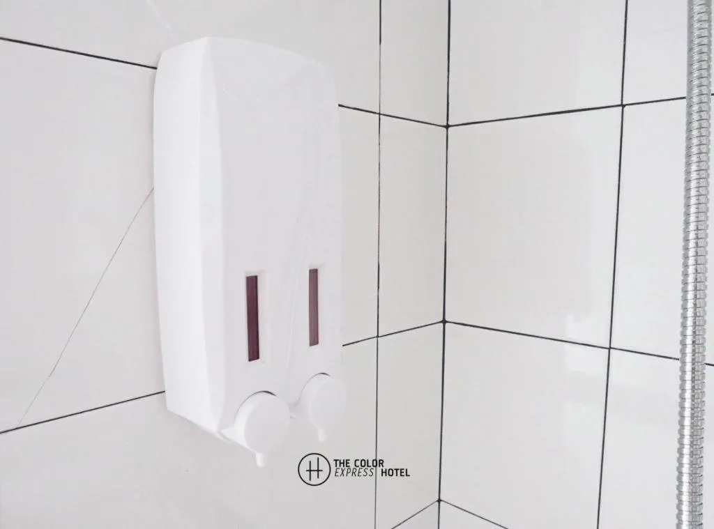 The Color Express Hotel