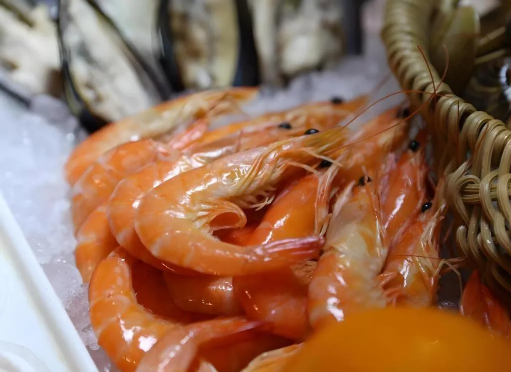 Dolton Changsha Spa Hotel