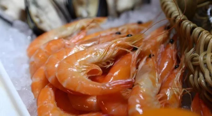 Dolton Changsha Spa Hotel