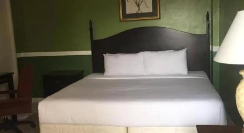 Bed in Dreamwave Resort Laguna