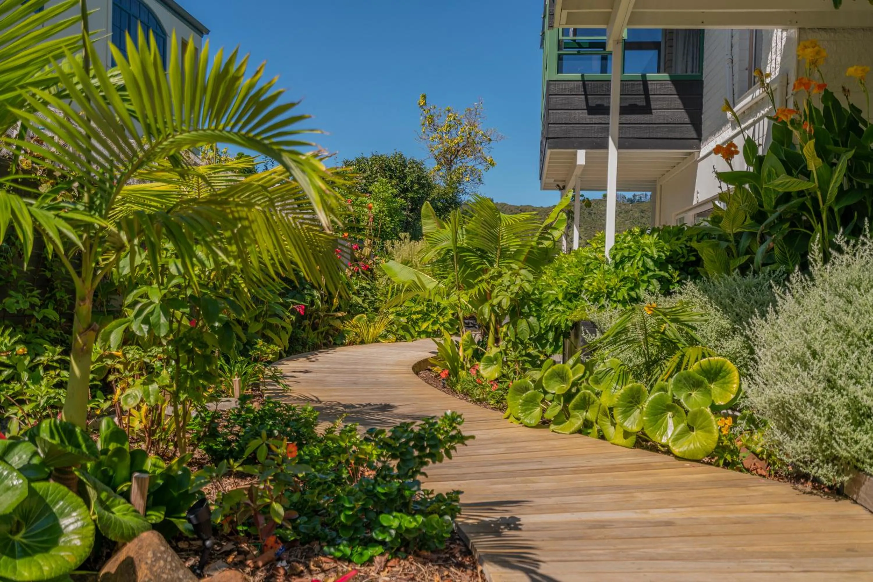 Property building in Oceans 88 Whitianga Coastal Suites