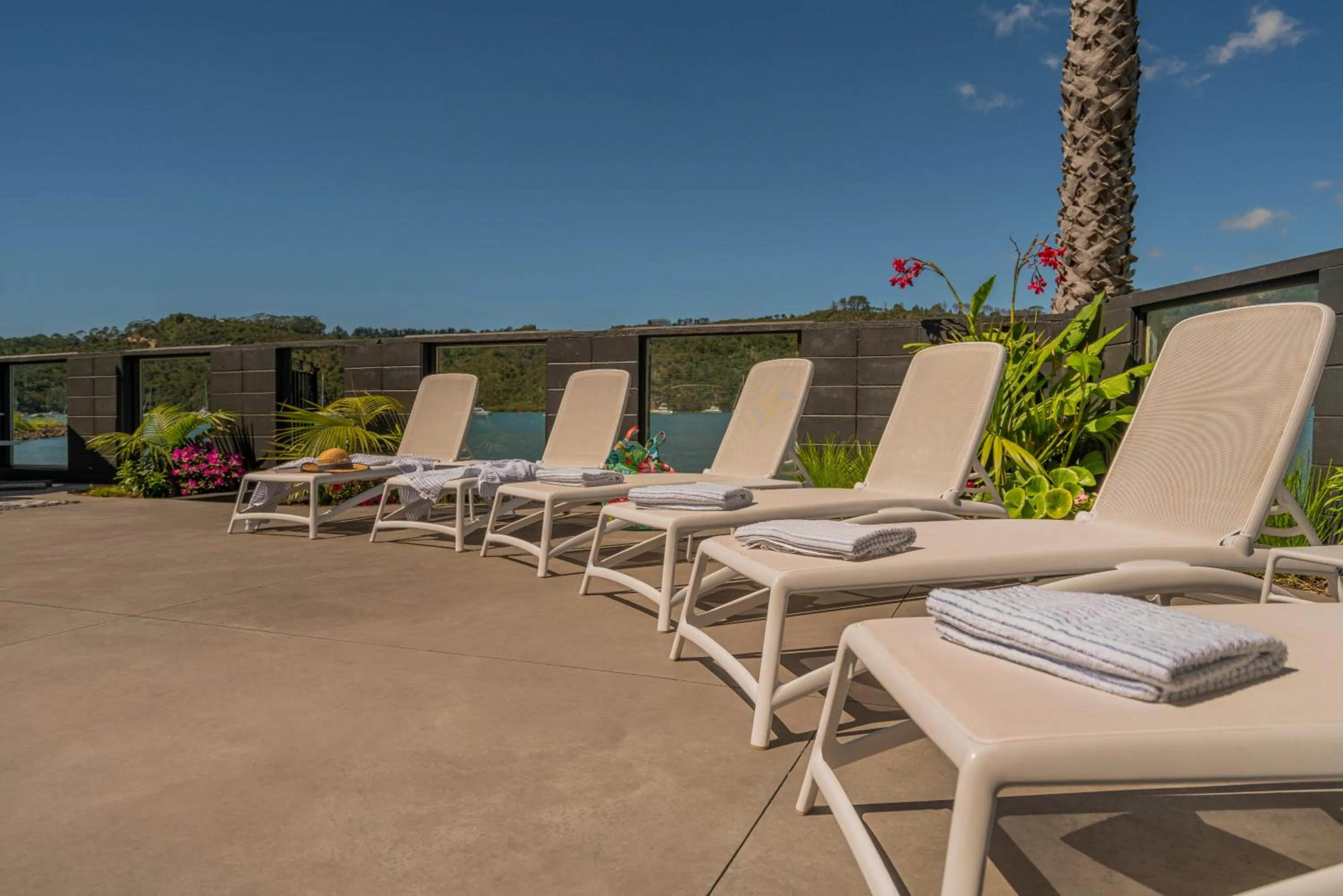 Pool view in Oceans 88 Whitianga Coastal Suites