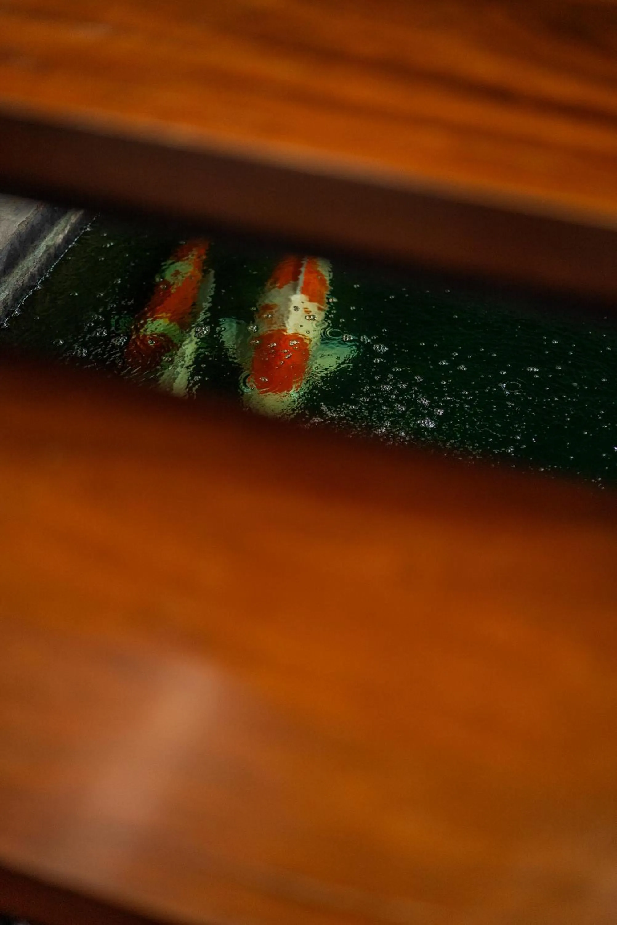 Property building in The Hotel Journal Chiangmai