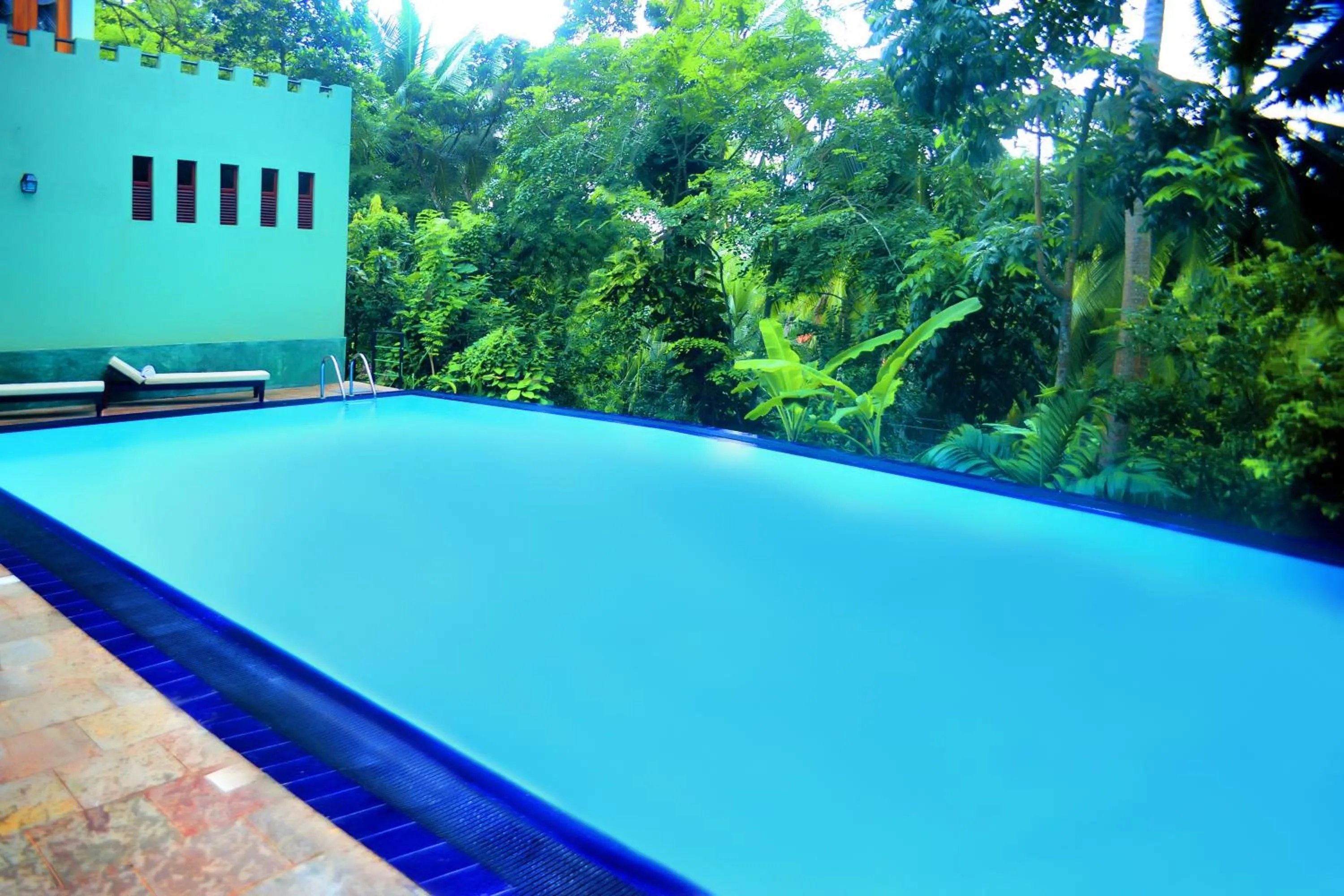 Swimming pool in Tropical Retreat