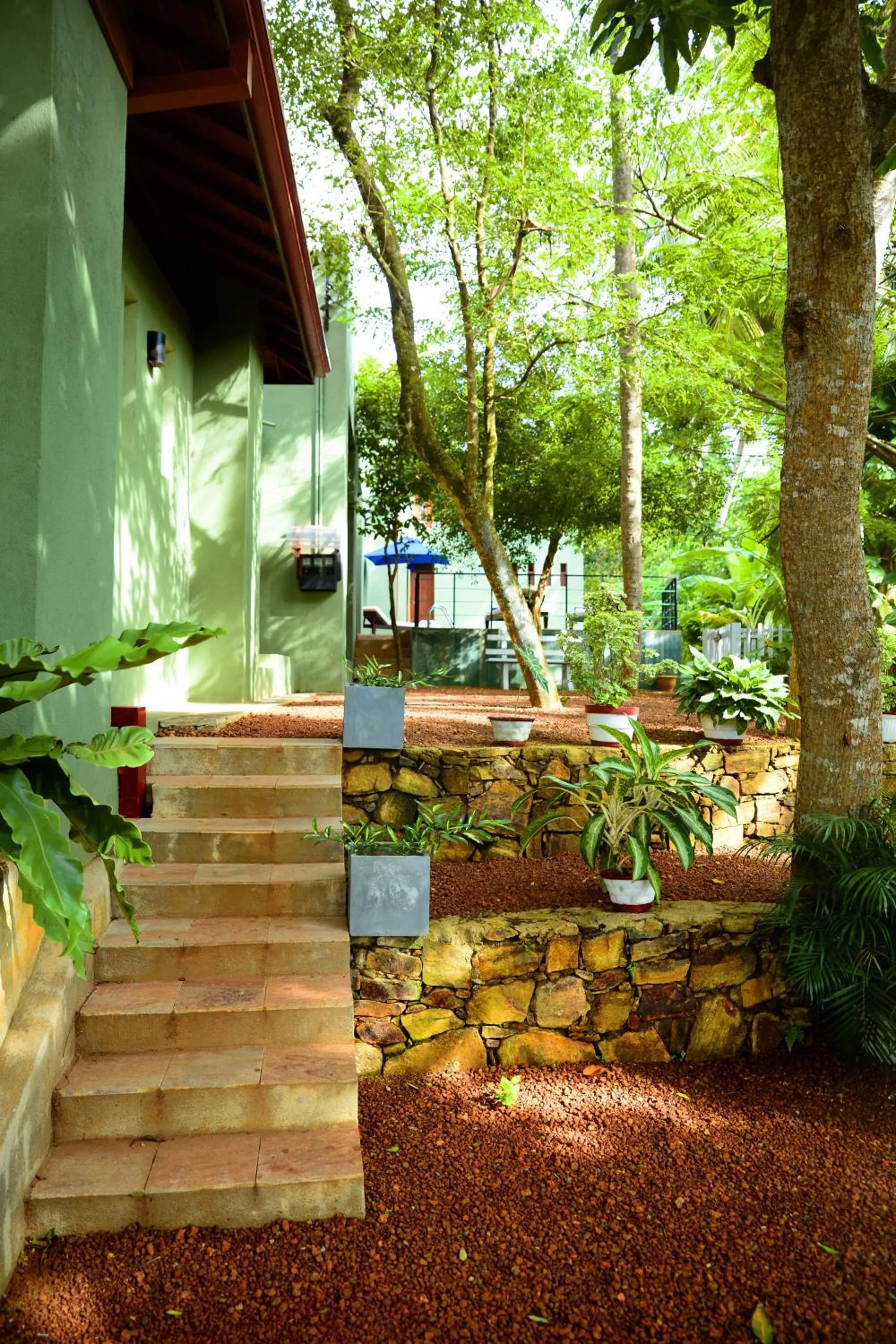 Garden in Tropical Retreat