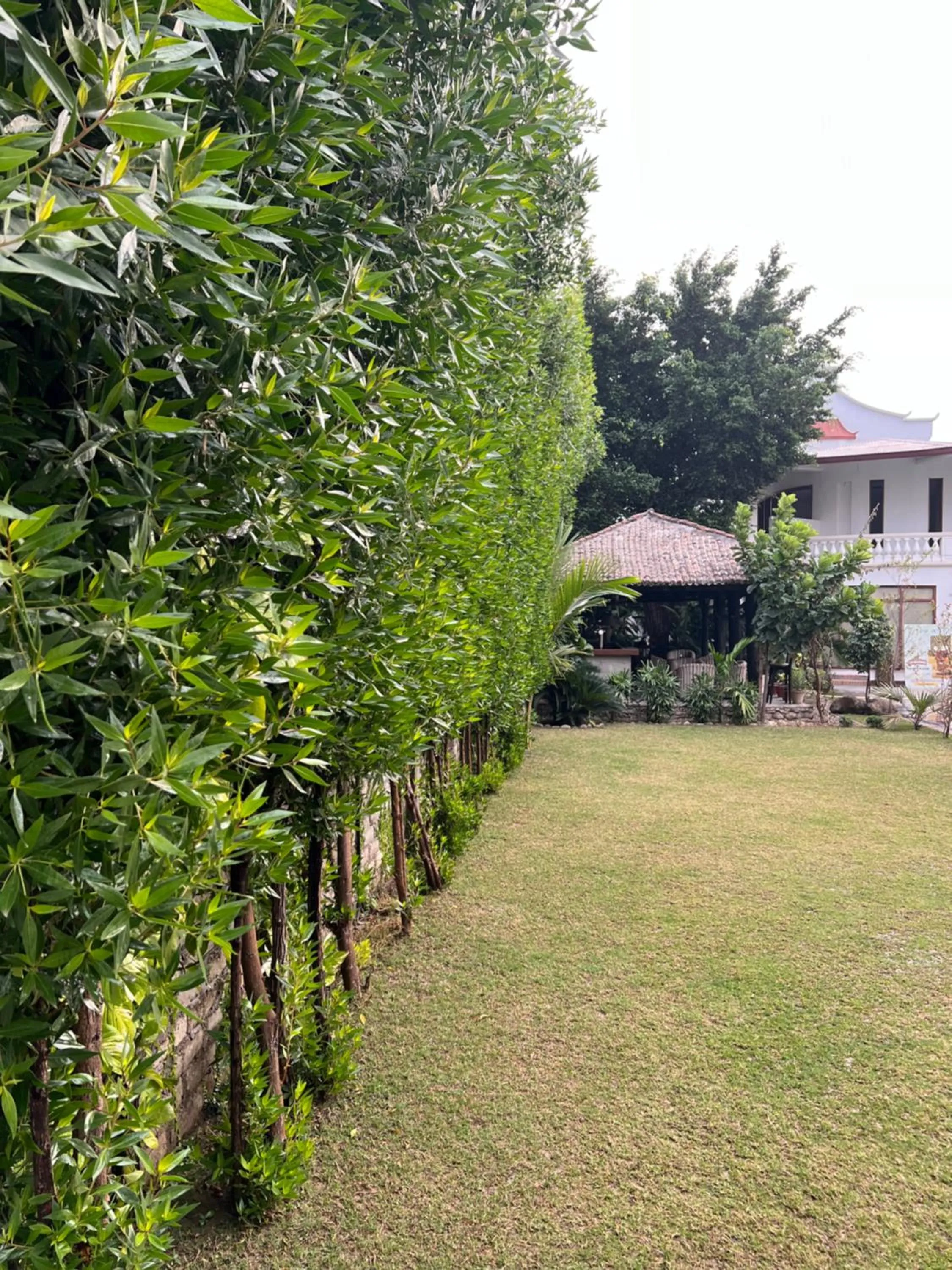 Day in Club De Novo Hotel