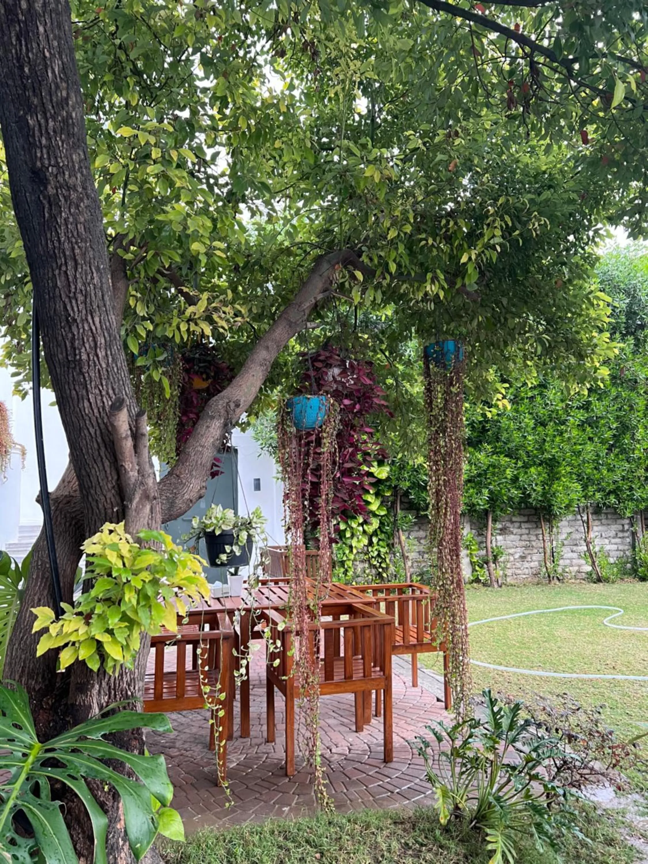 Spring in Club De Novo Hotel