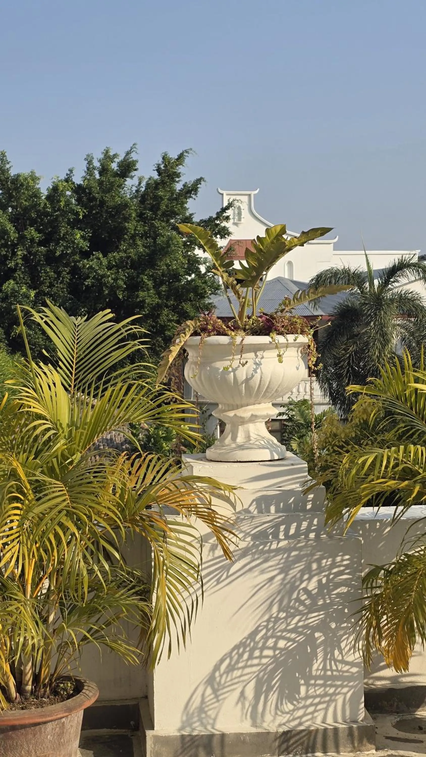 Garden view in Club De Novo Hotel