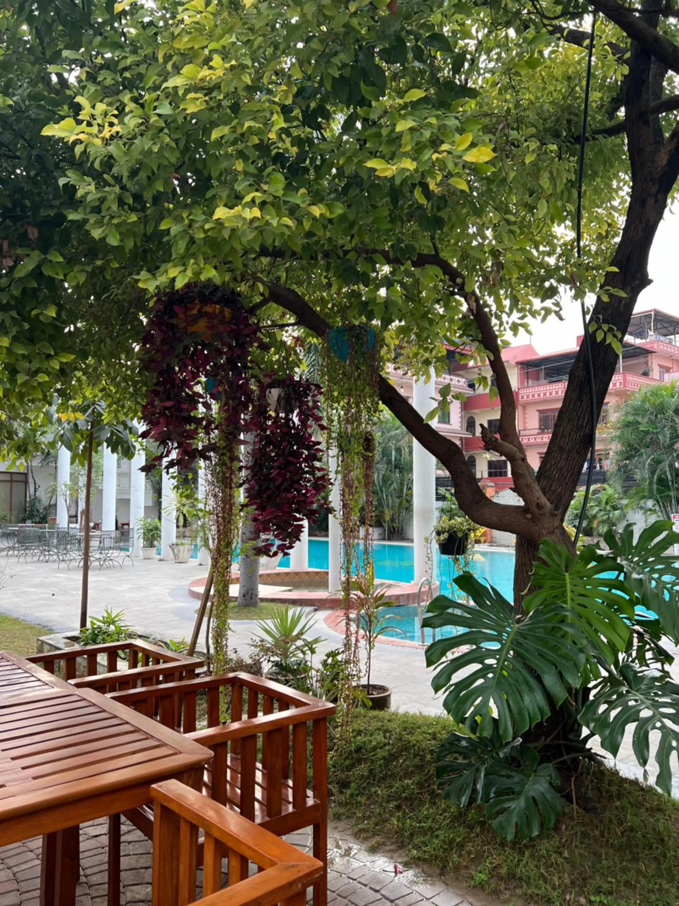 Pool view in Club De Novo Hotel
