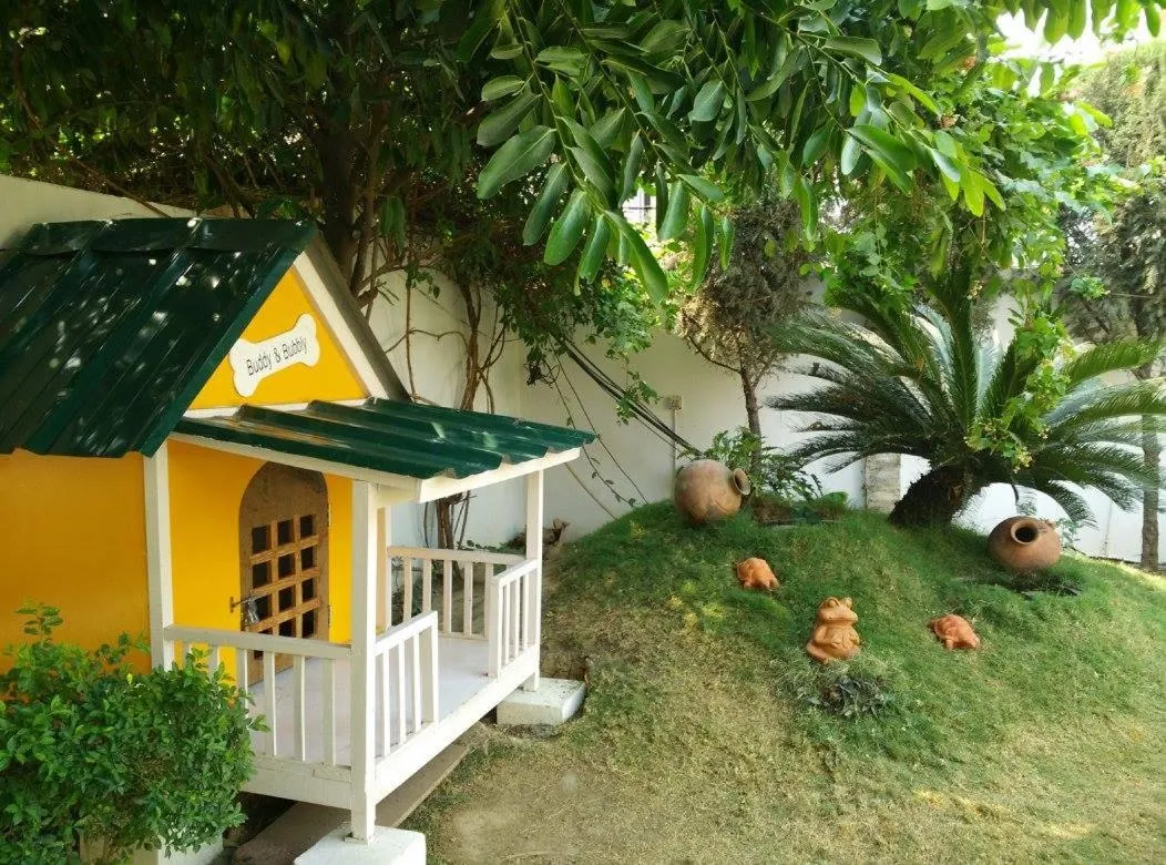 Garden in Club De Novo Hotel