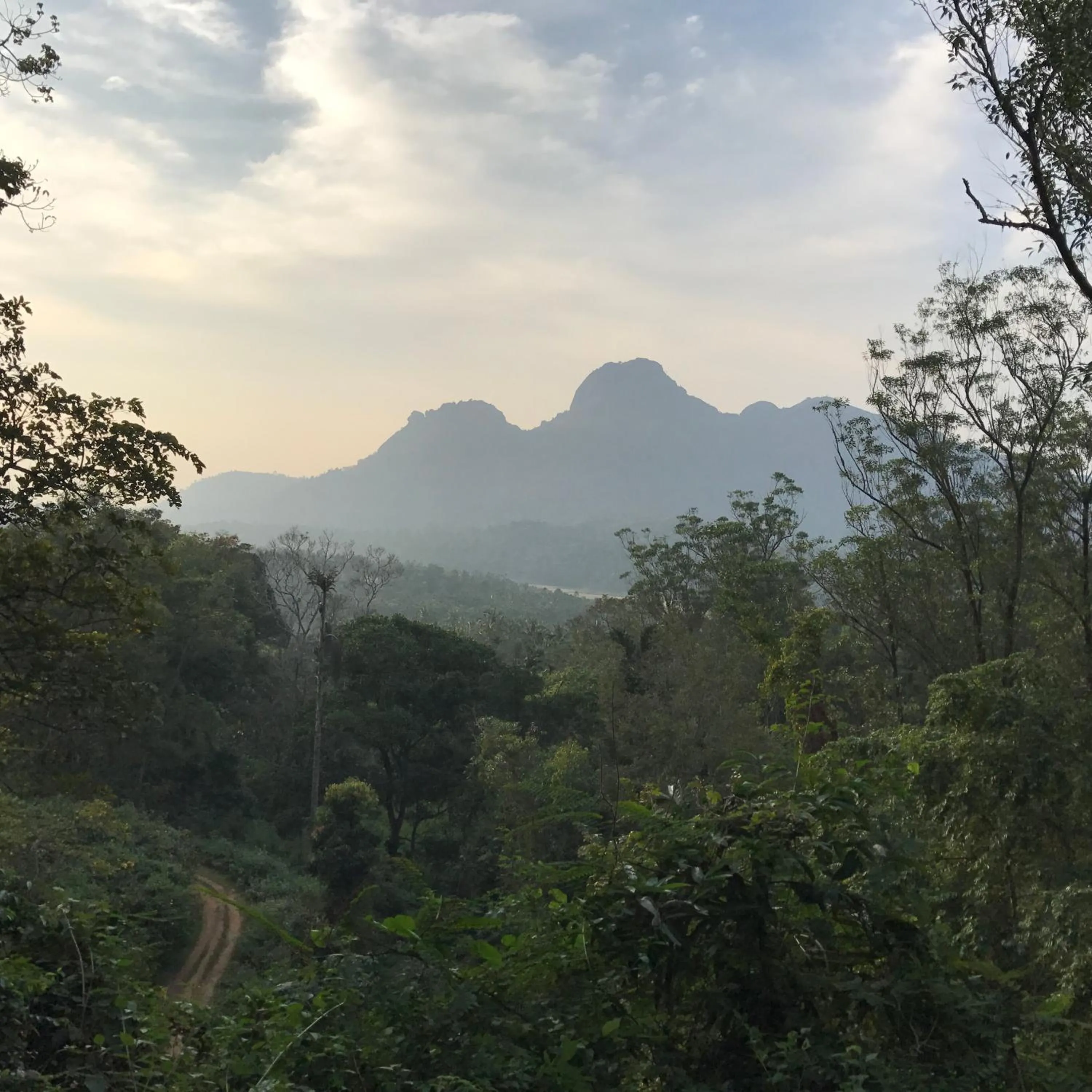 Hiking in Pepper Trail