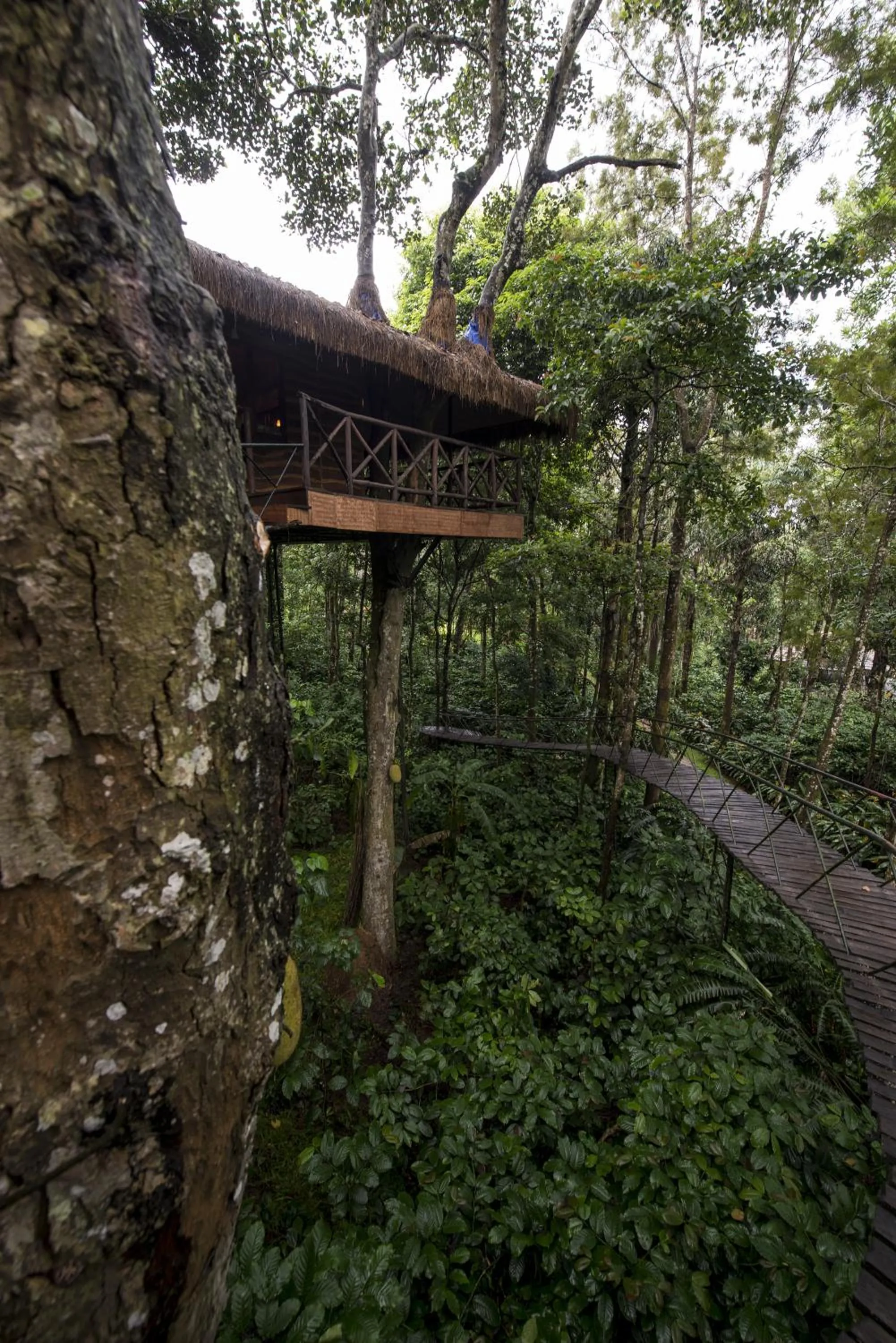 Balcony/Terrace in Pepper Trail