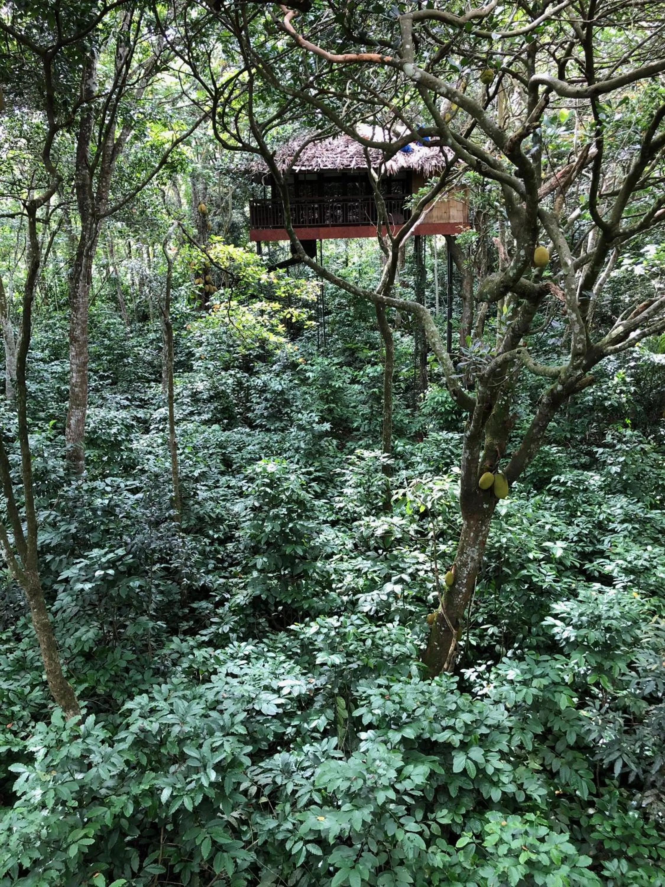Balcony/Terrace in Pepper Trail