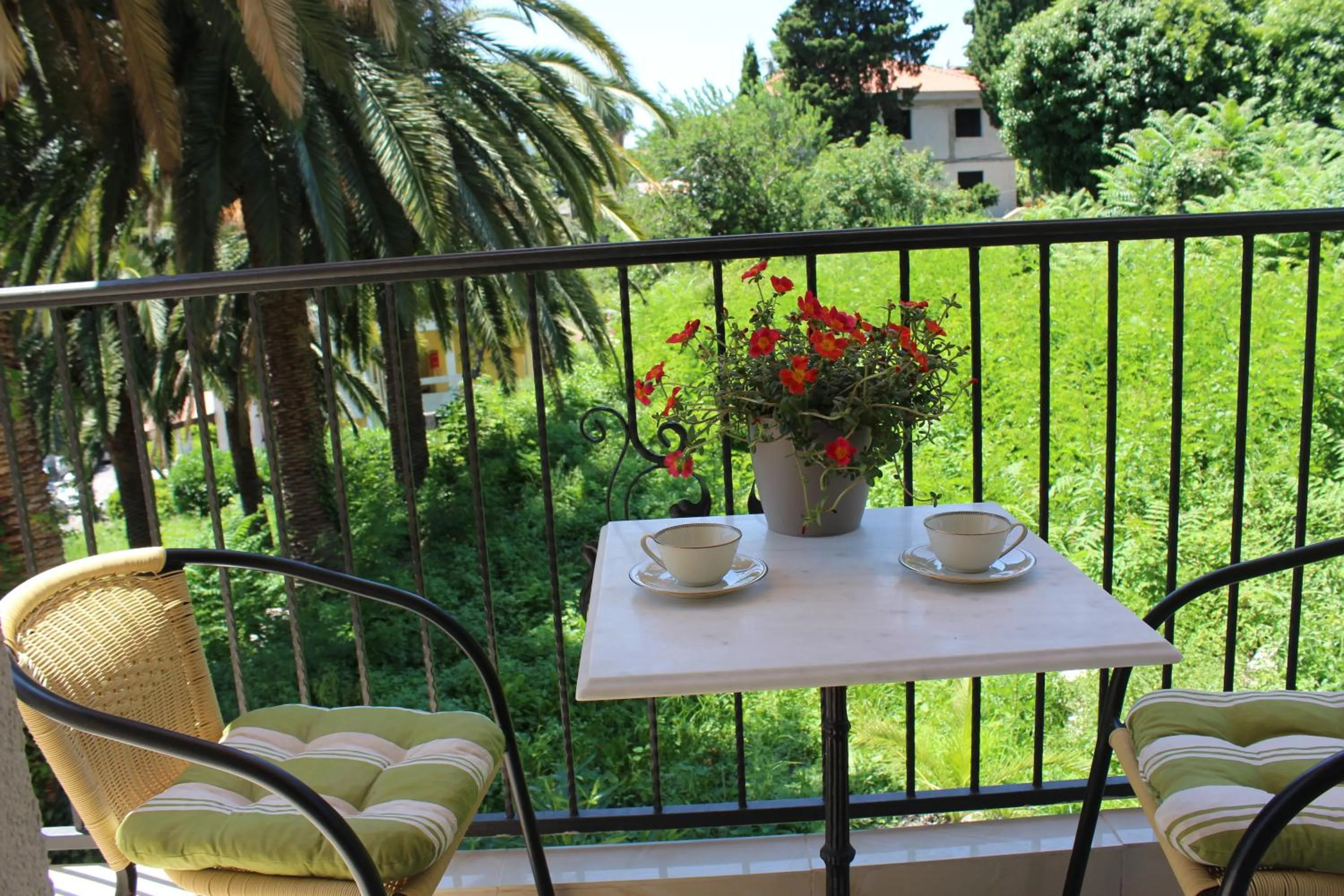 Garden view in Swiss Residence Montenegro