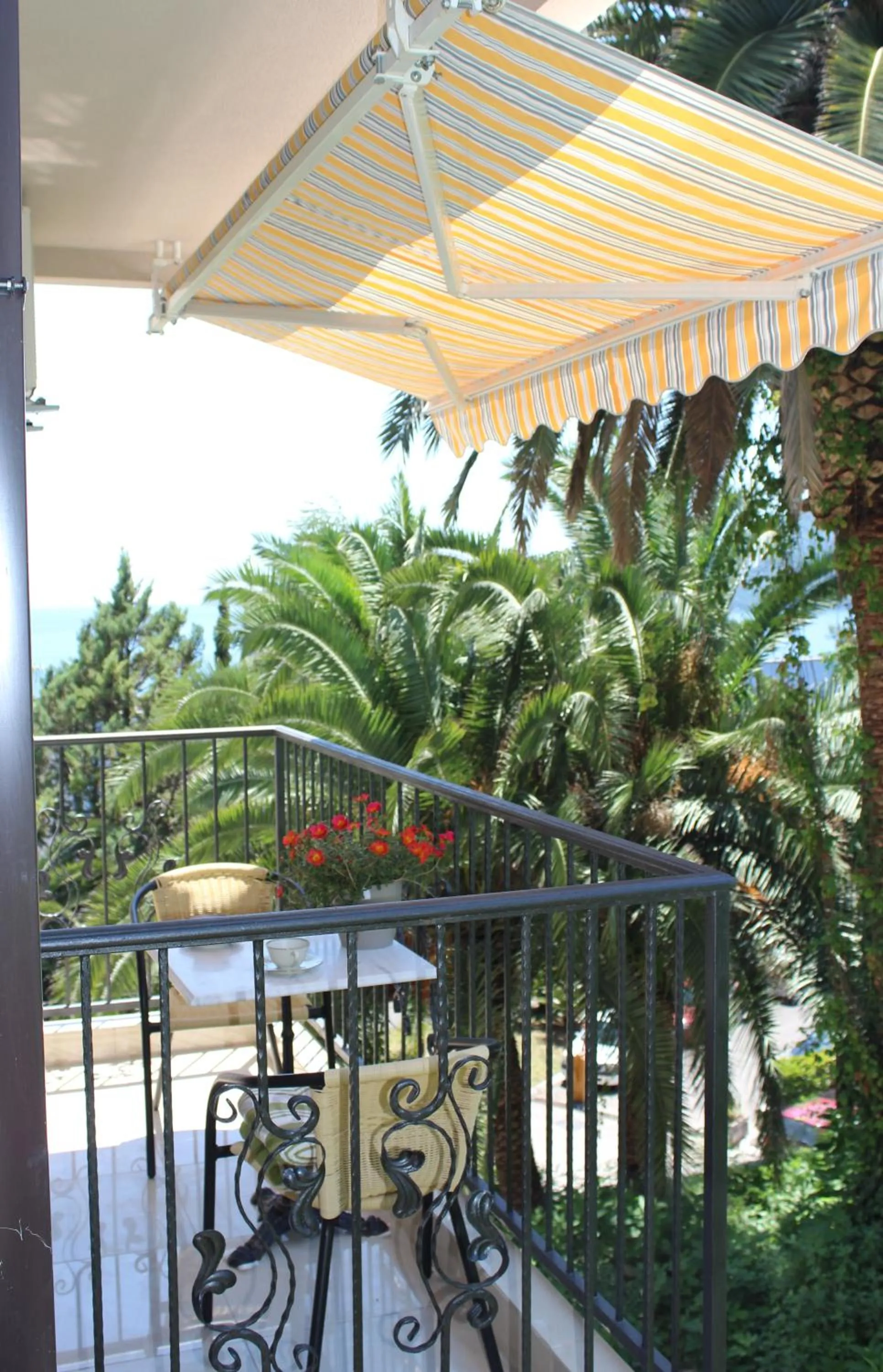 Garden view in Swiss Residence Montenegro