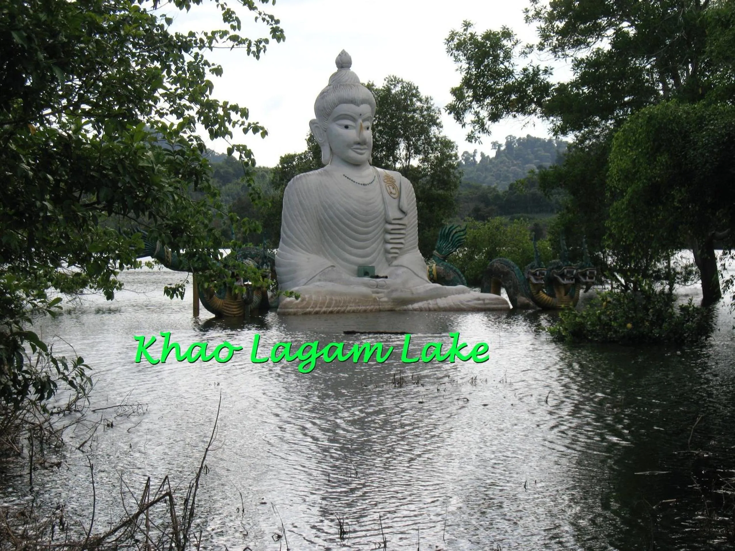 Area and facilities in Residence House