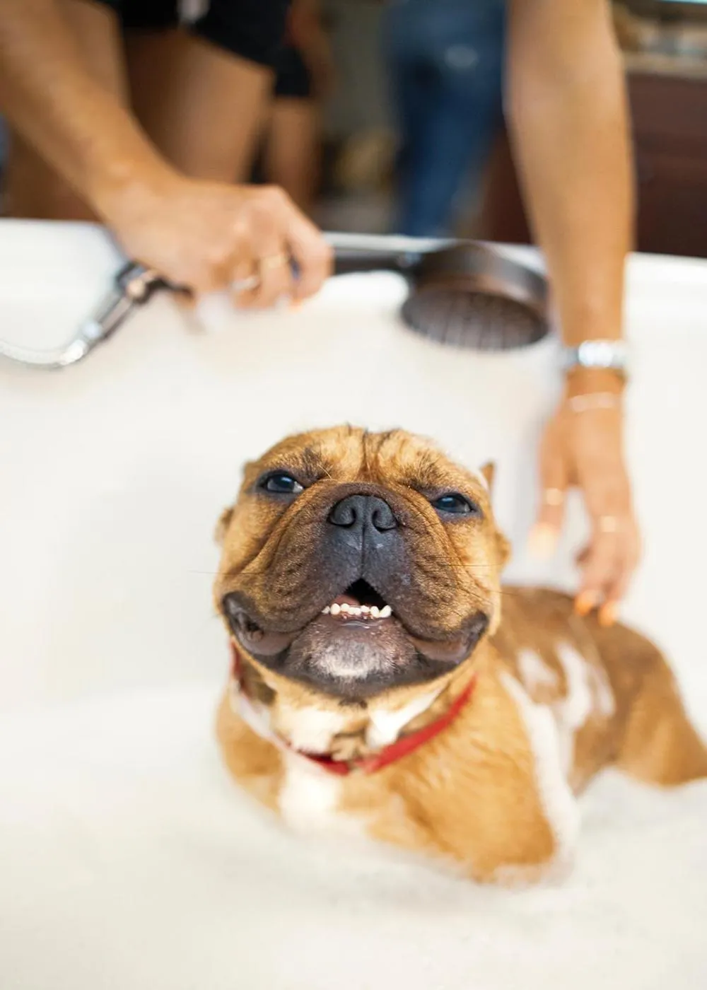 Naturally Pacific Resort