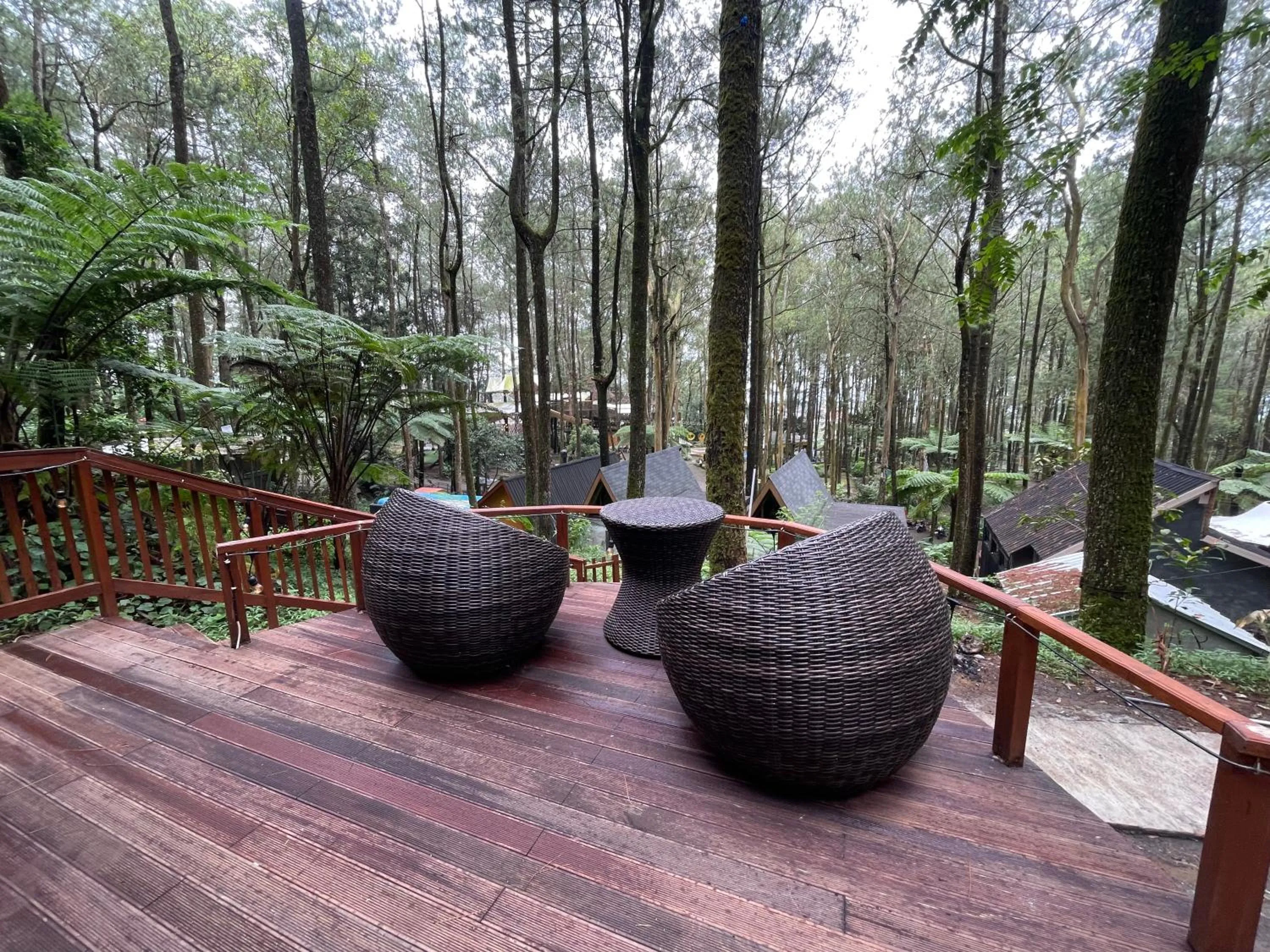 Kopeng Treetop Adventure Park