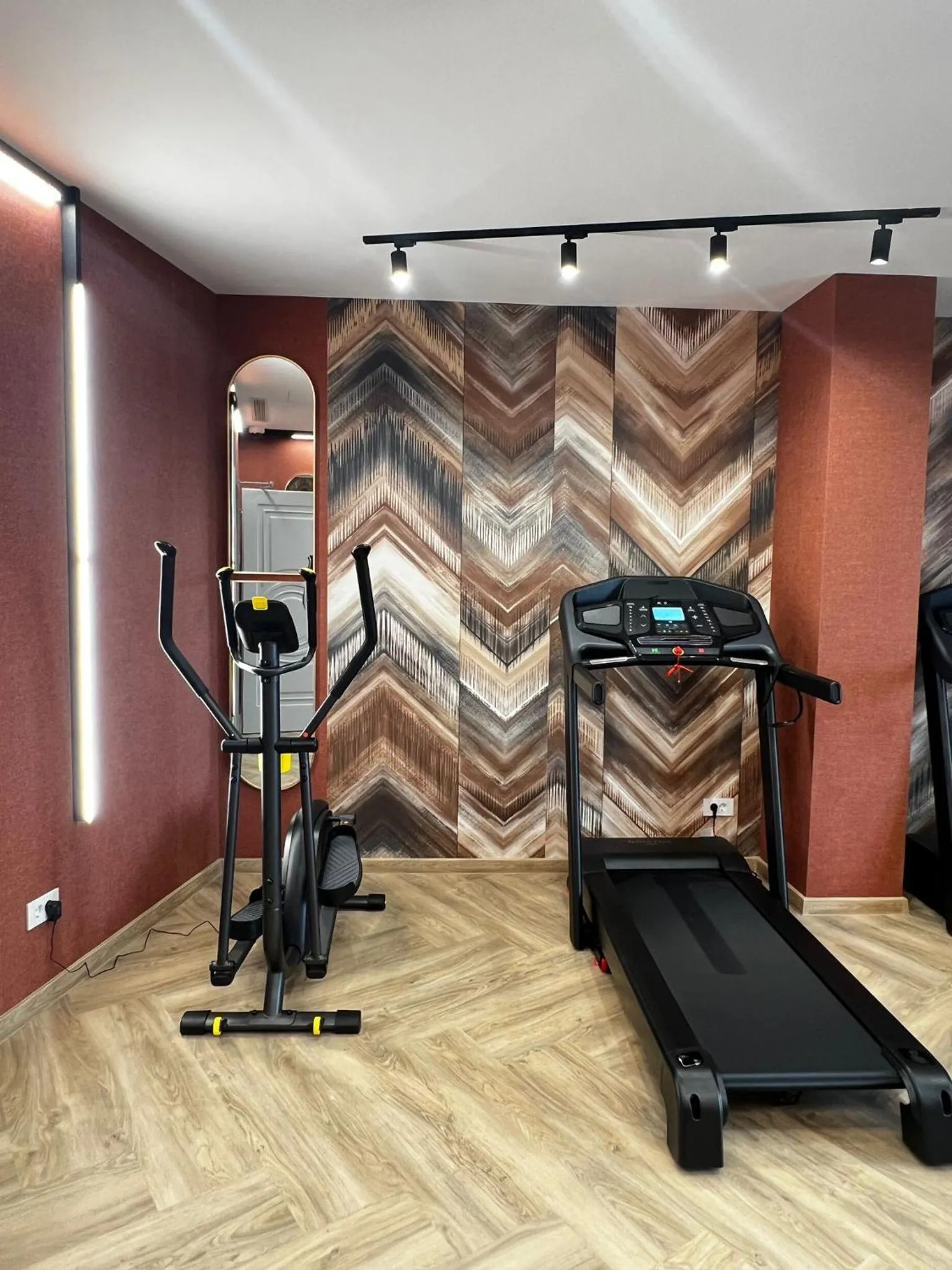 Fitness centre/facilities in Boutique Hotel Balș