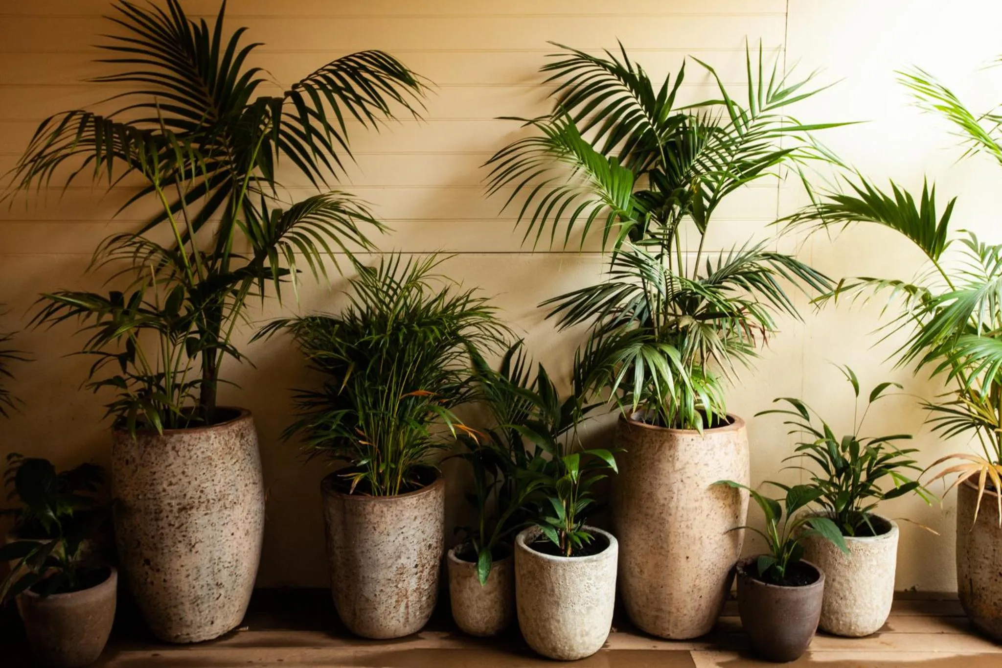 Property building in Maand Up Fremantle