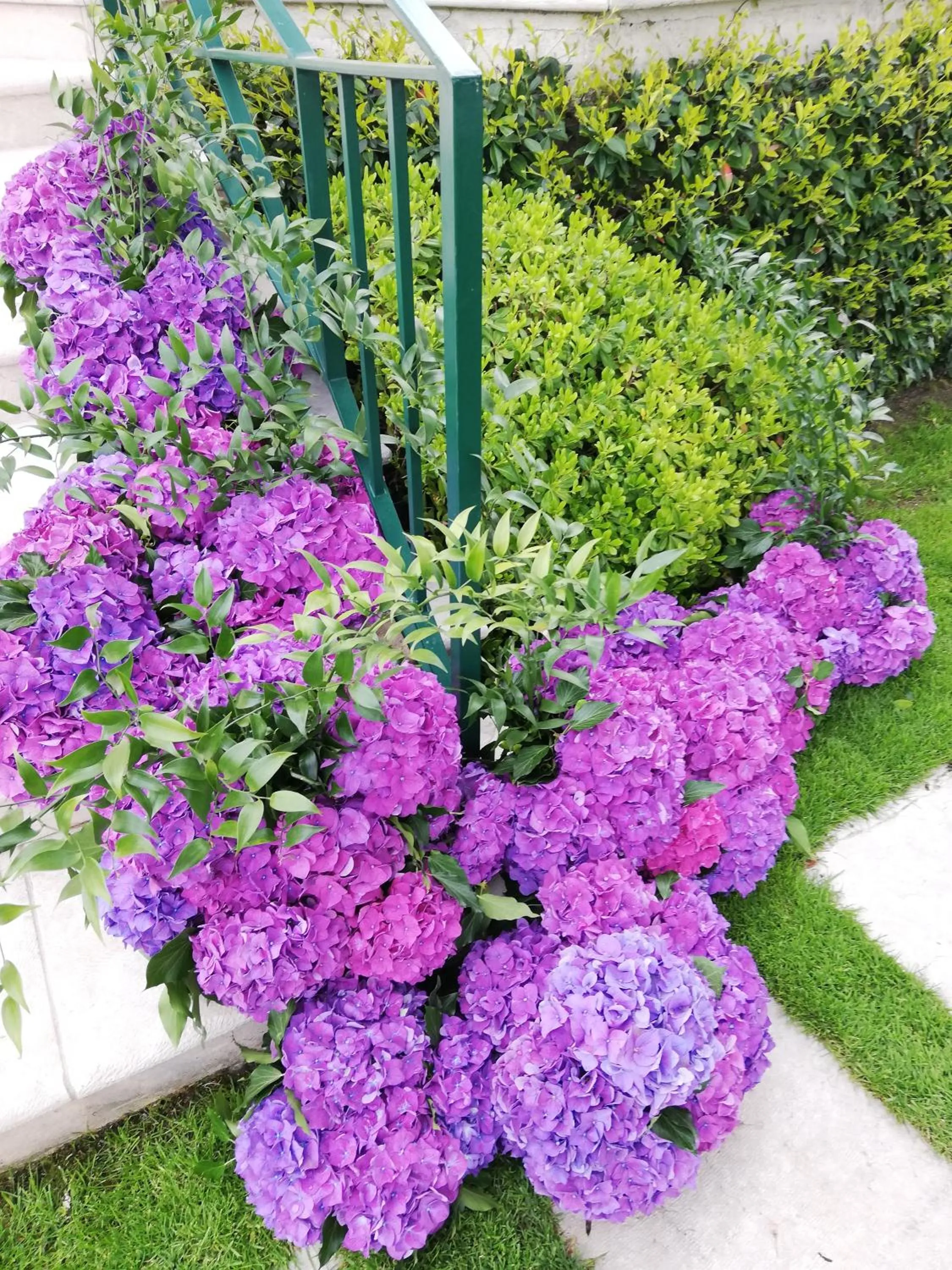 Garden in Hôtel Bellevue