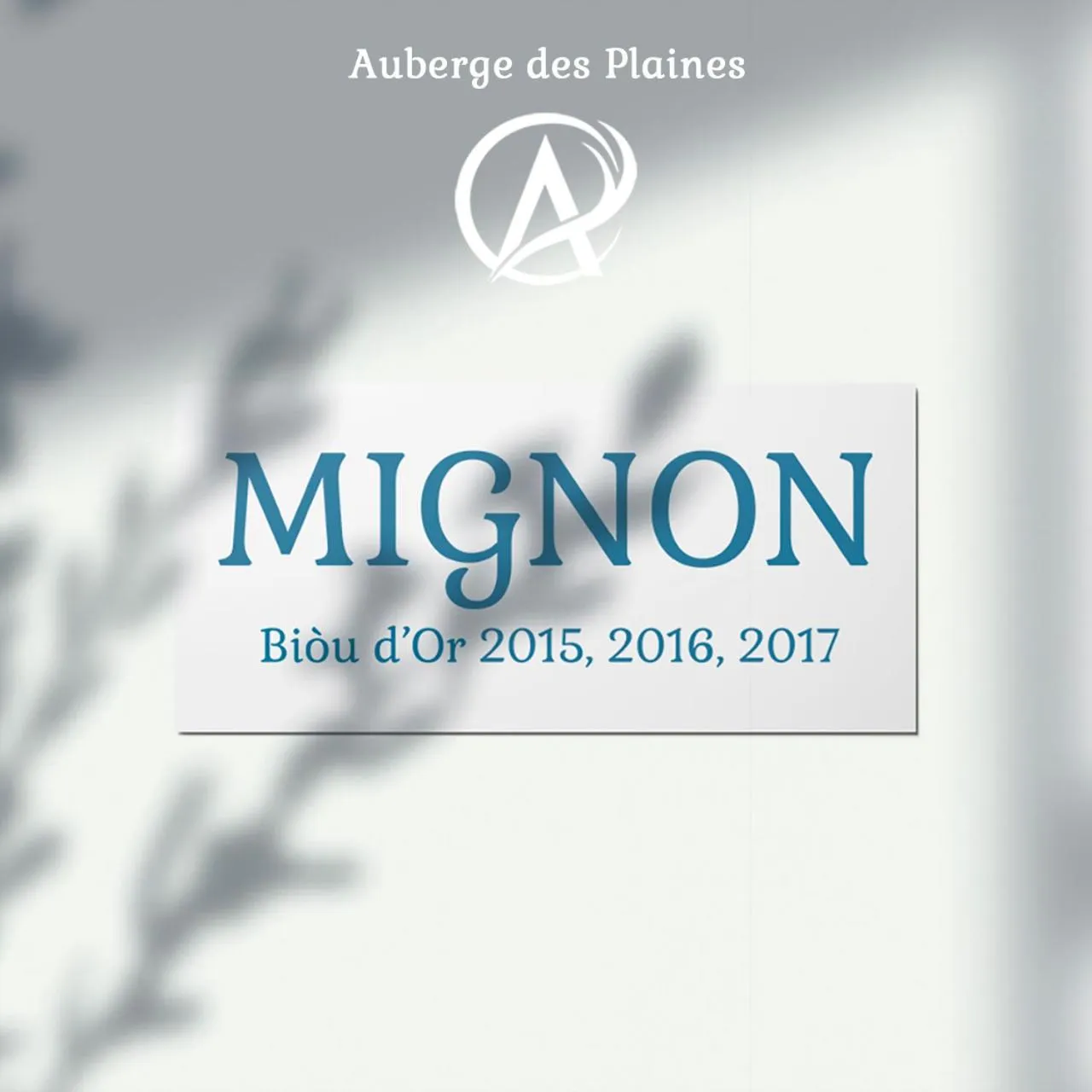 Facade/entrance in Auberge des Plaines - Appart'hôtel