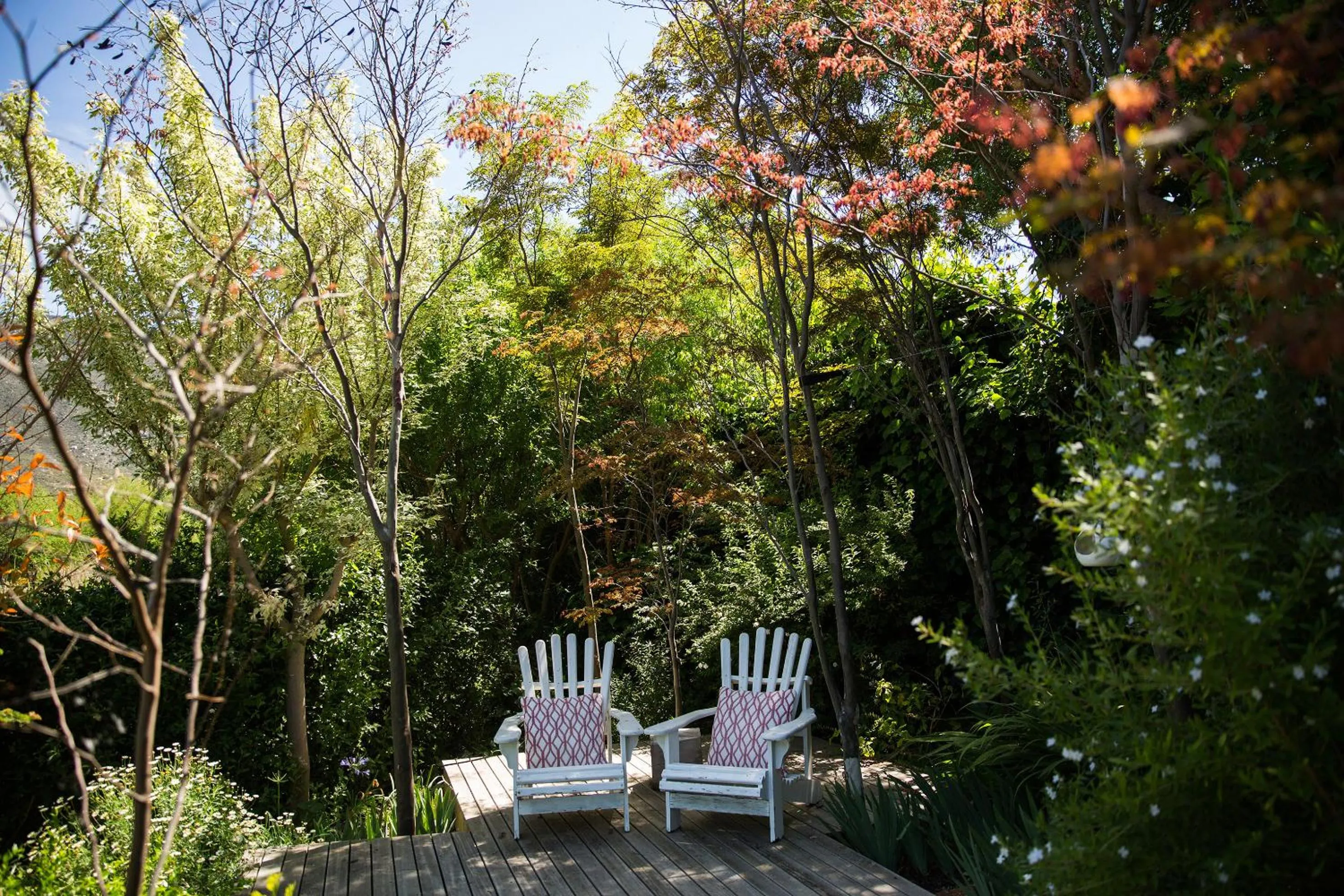 Patio in In Abundance Guest House
