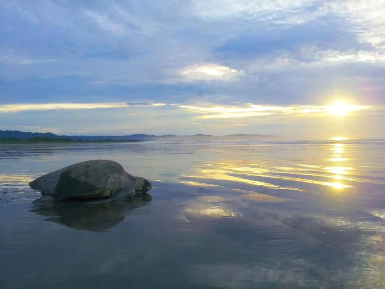 Natural landscape in Villa Marina Lodge & Condos