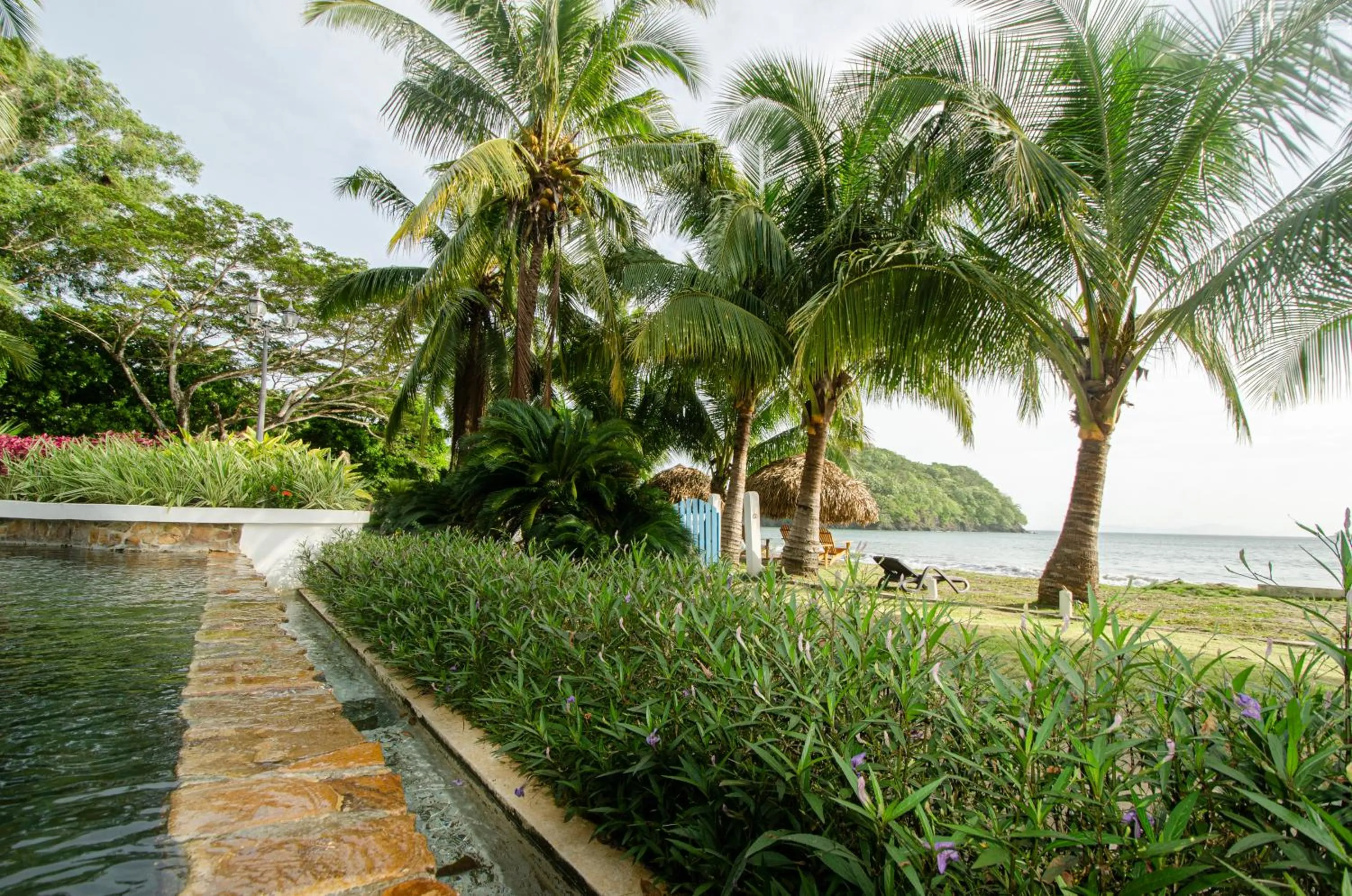 Natural landscape in Villa Marina Lodge & Condos