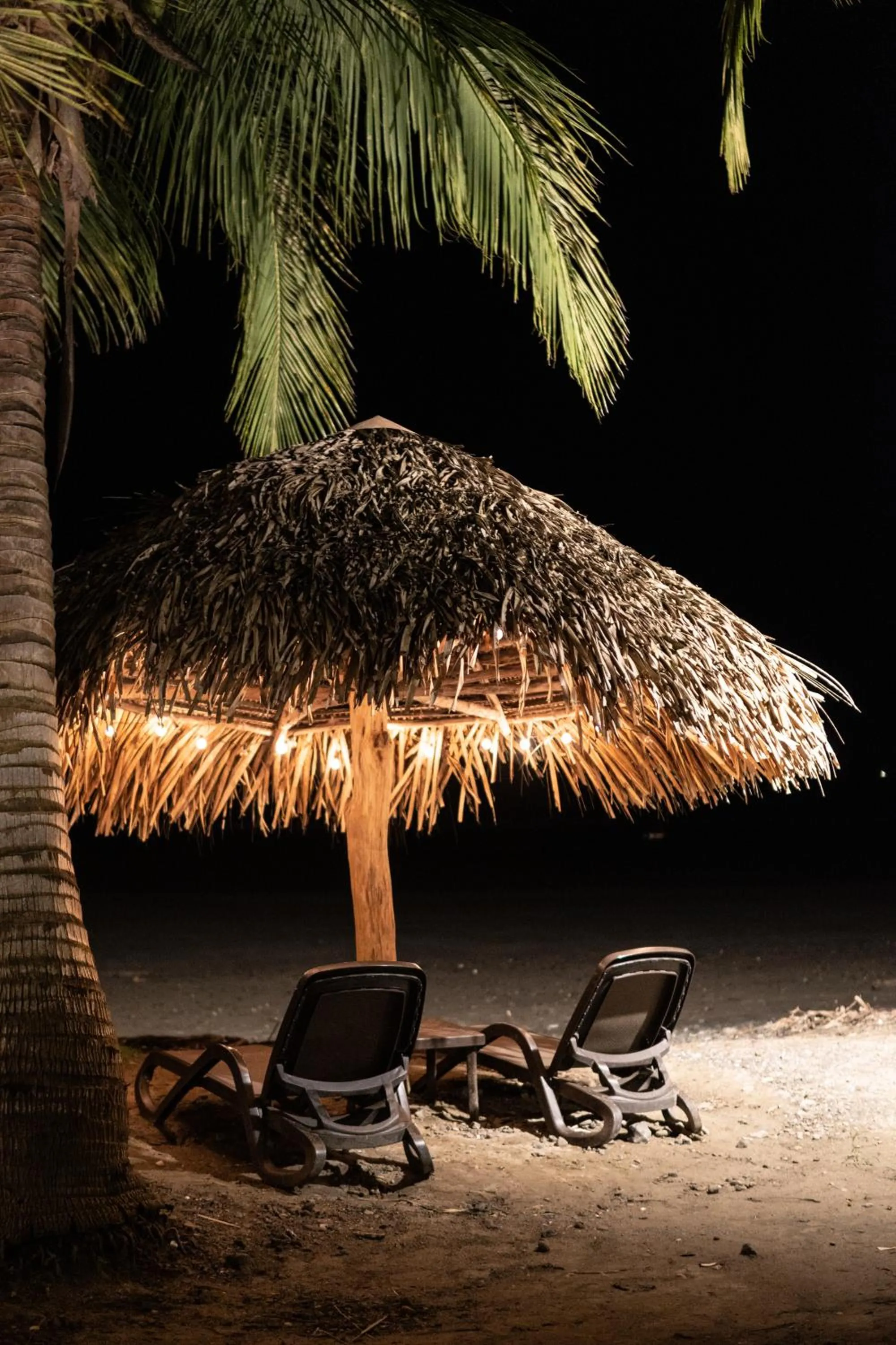 Beach in Villa Marina Lodge & Condos