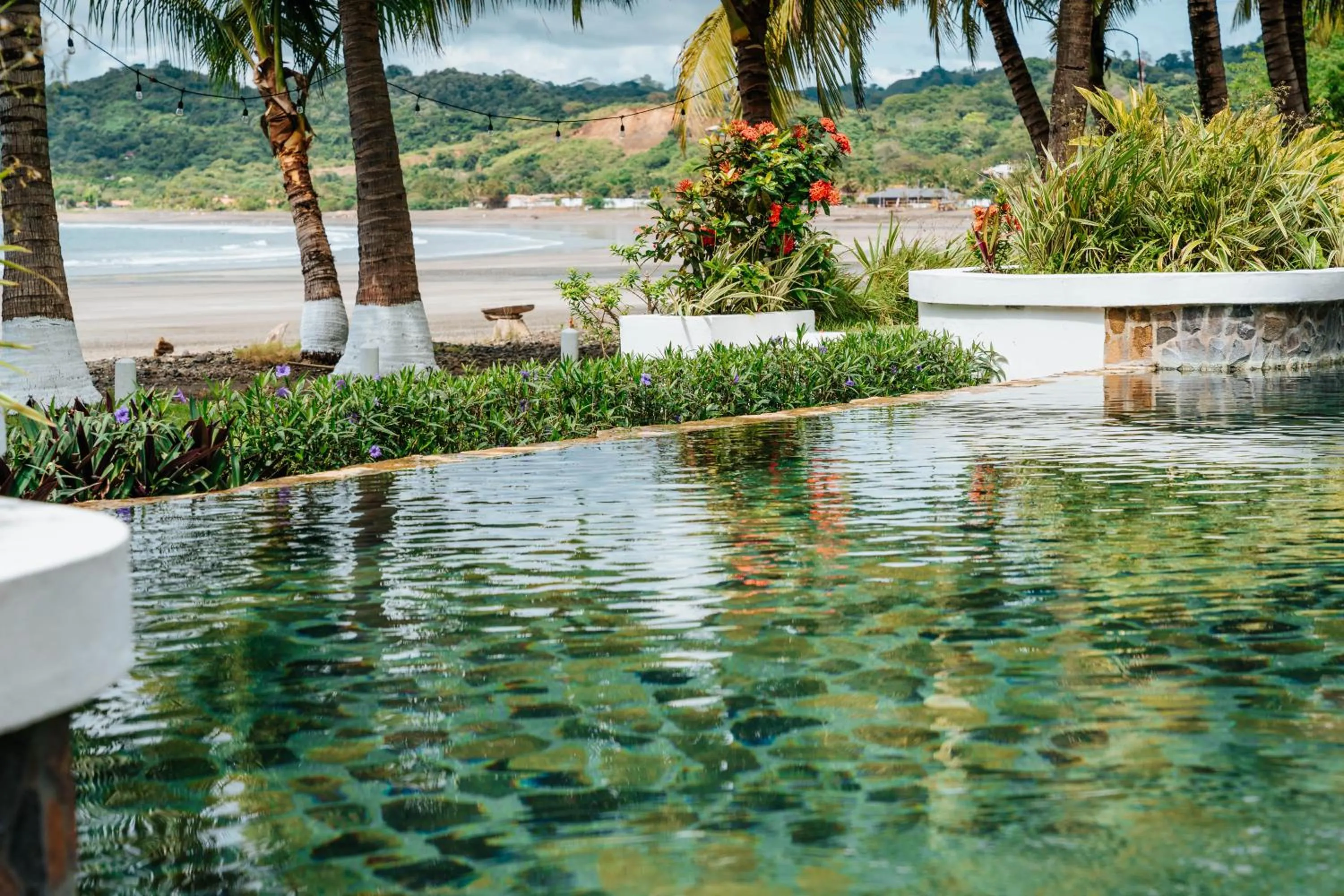 Garden in Villa Marina Lodge & Condos