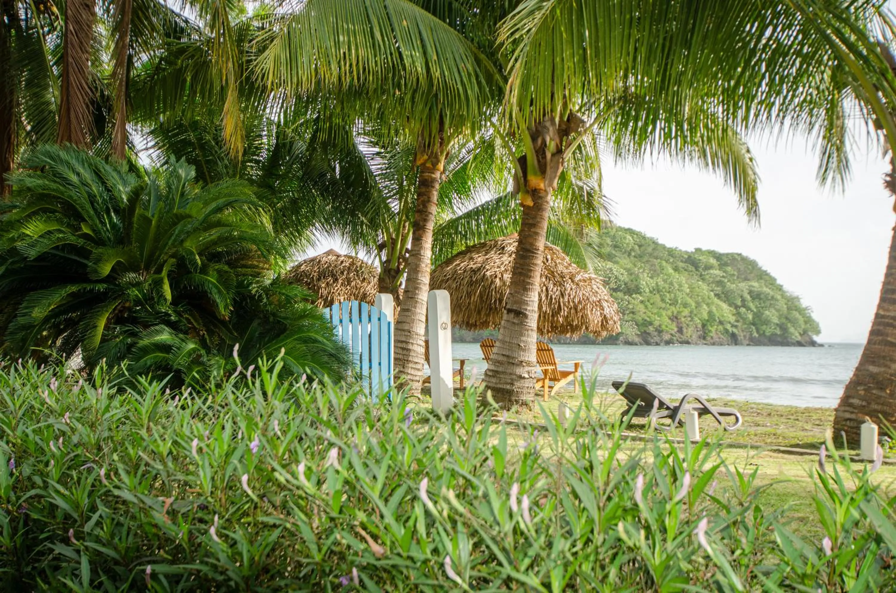 Natural landscape in Villa Marina Lodge & Condos