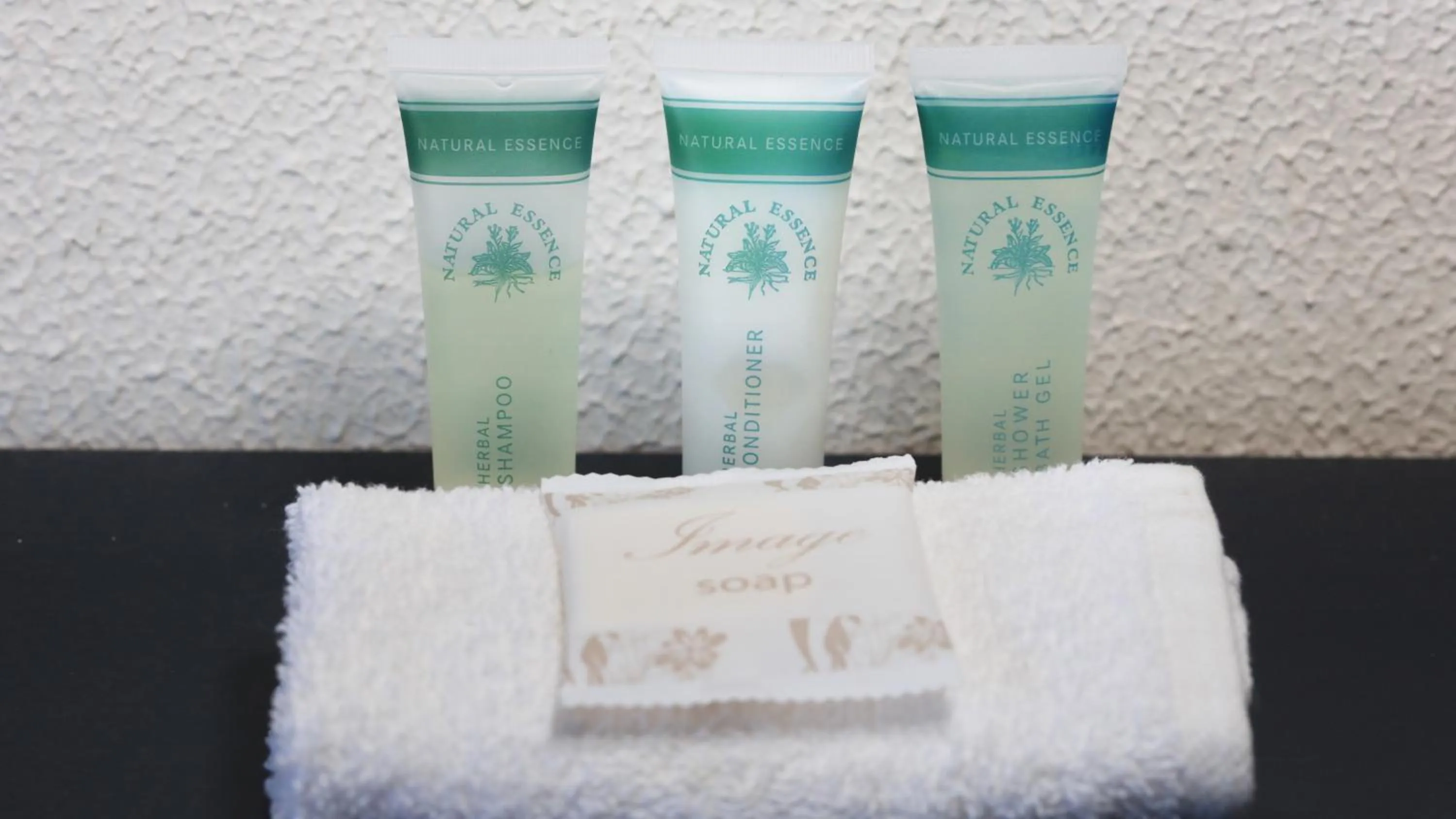 Bathroom in Capella Coach Inn