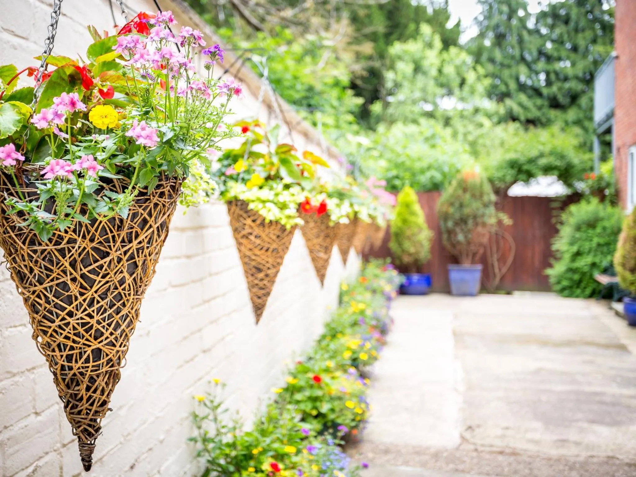 Spring in Arden Park Ensuite Rooms