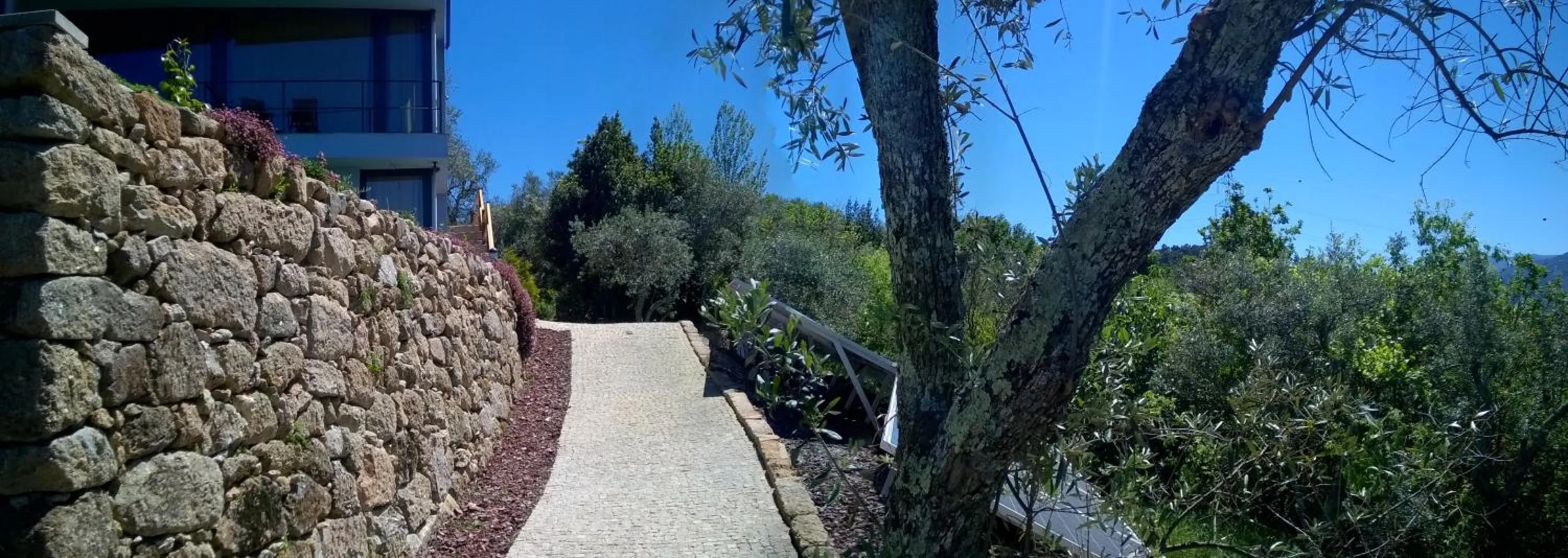 Area and facilities in ArsDurium Douro hotel