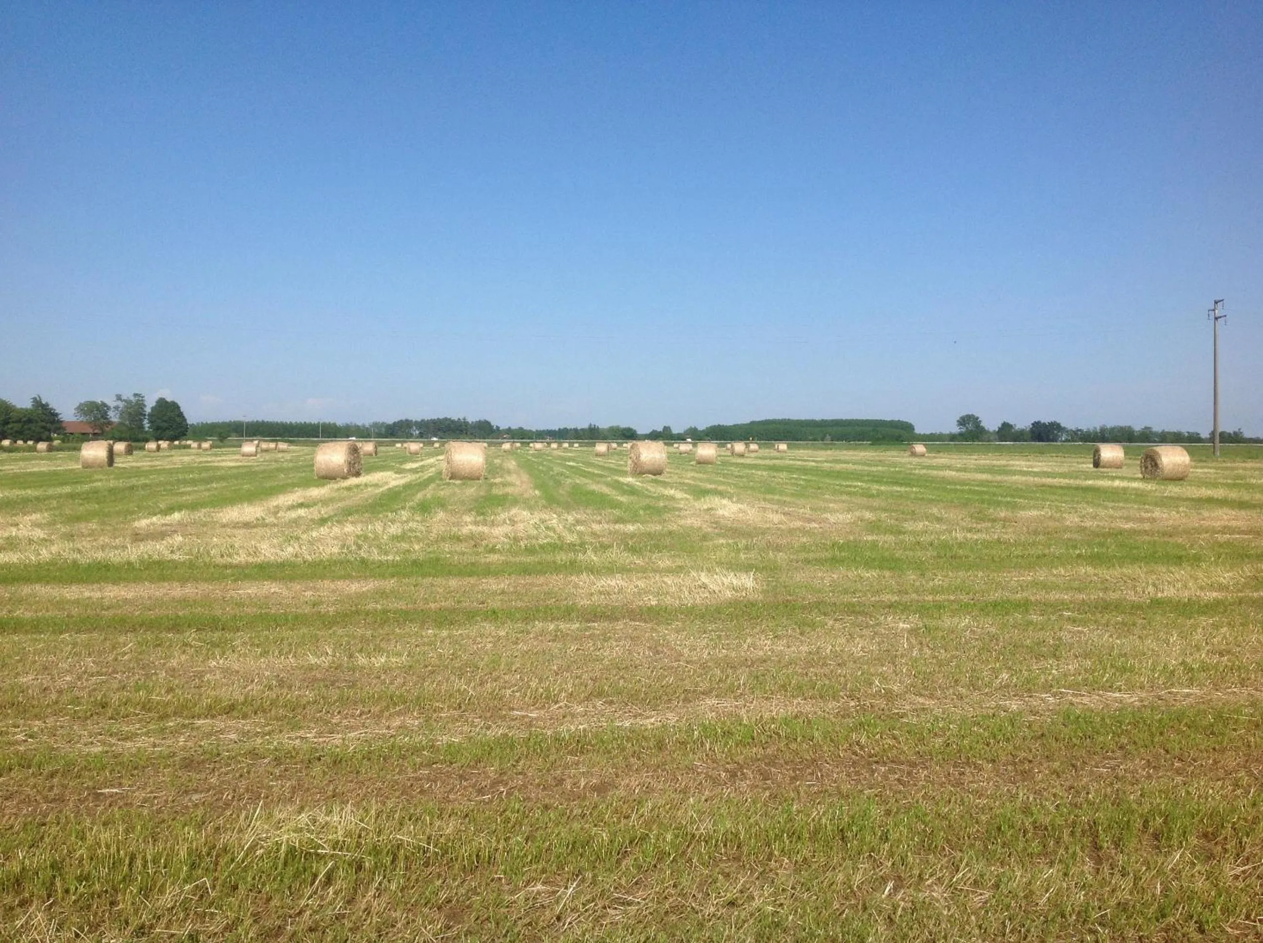 Natural landscape in Residence Campagnole