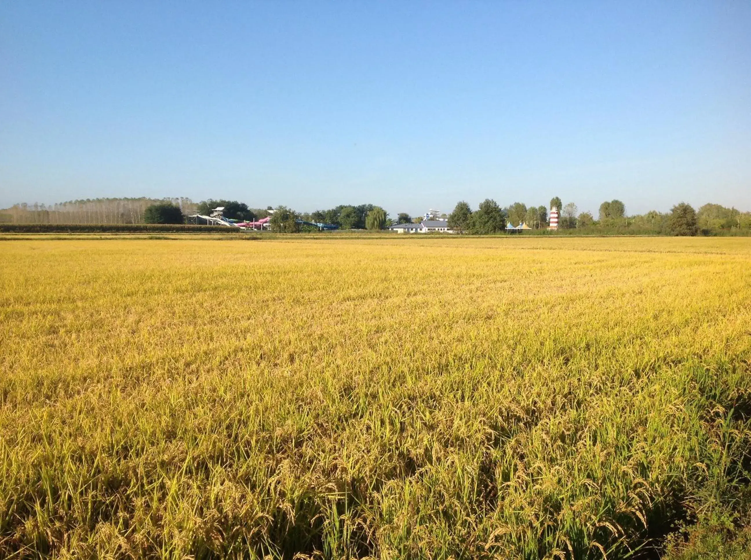 Apartment - Split Level in Residence Campagnole Apartment - Split Level in Residence Campagnole