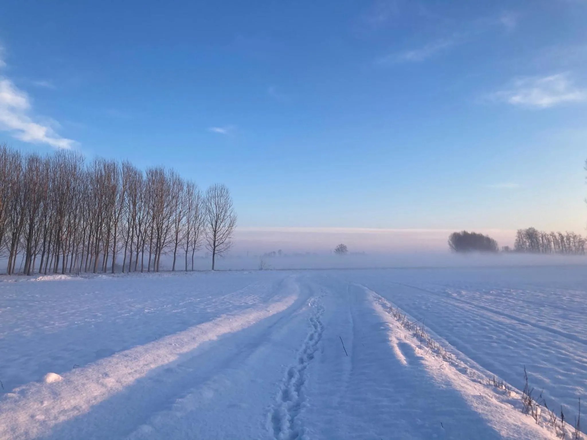 Natural landscape in Residence Campagnole