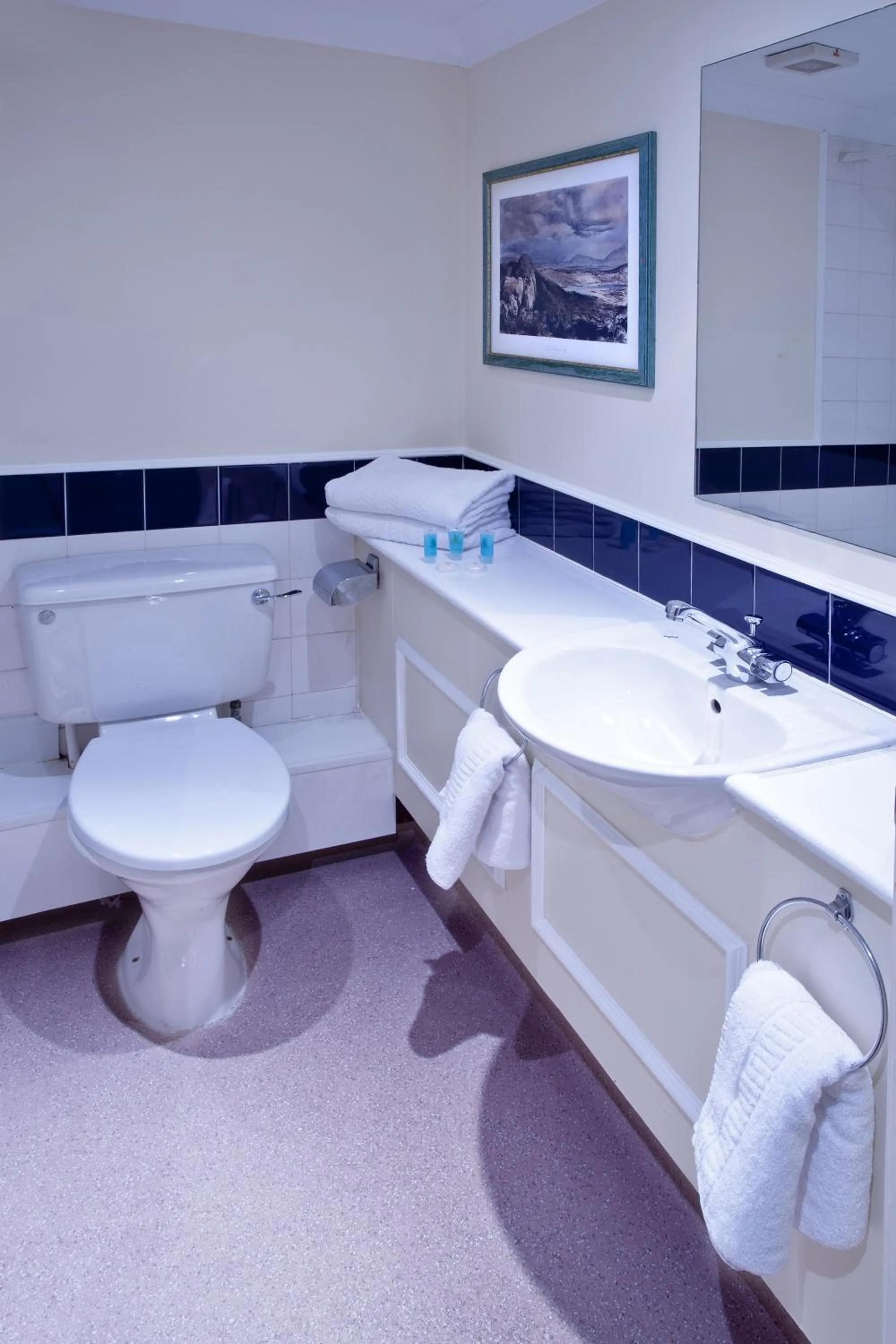 Toilet in Britannia Hotel, Stockport