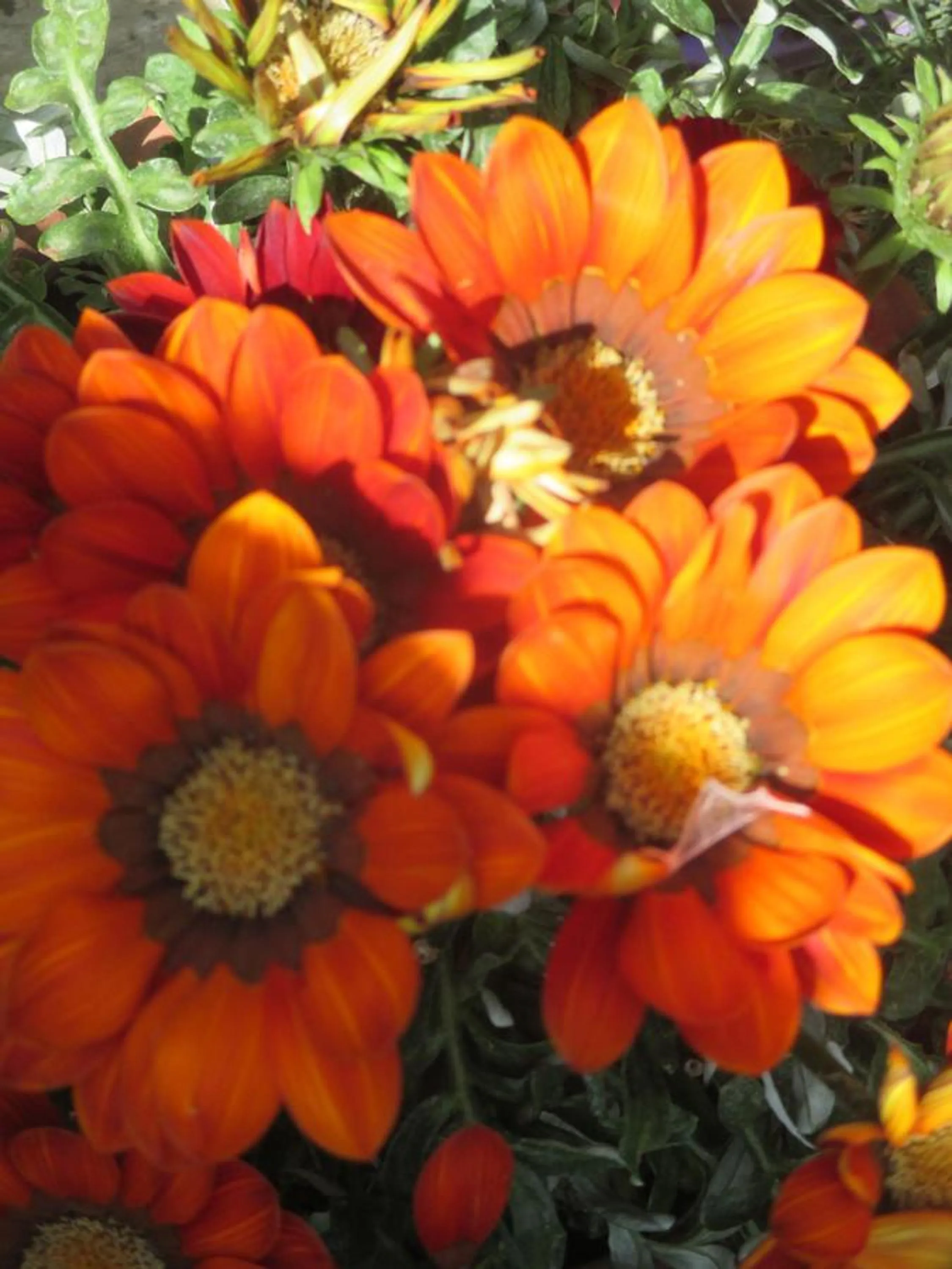 Other in Hotel Swiss