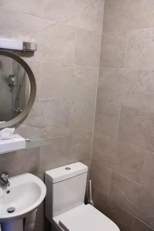 Toilet in Kildare House Hotel