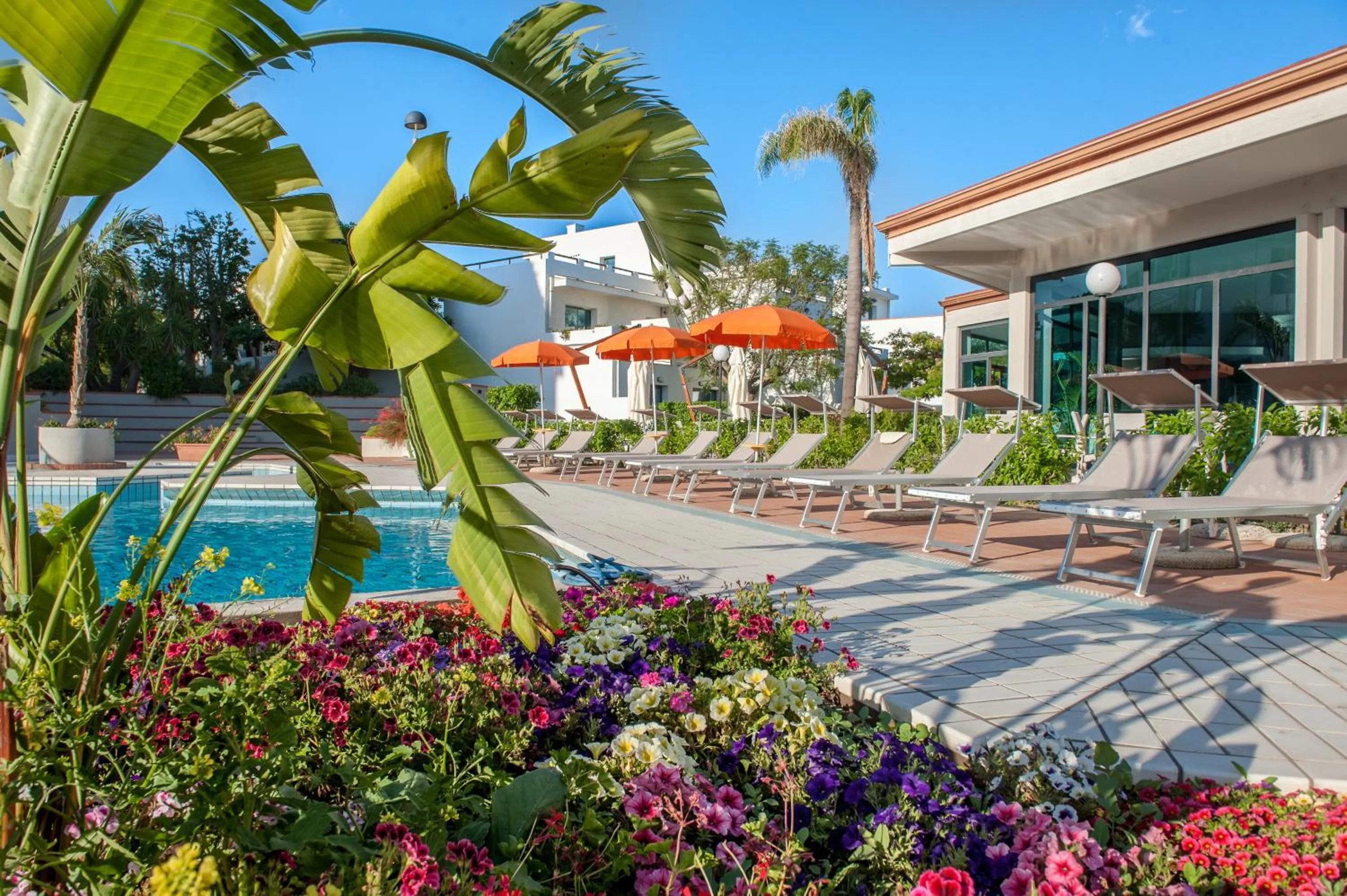 Swimming pool in Acacia Marina