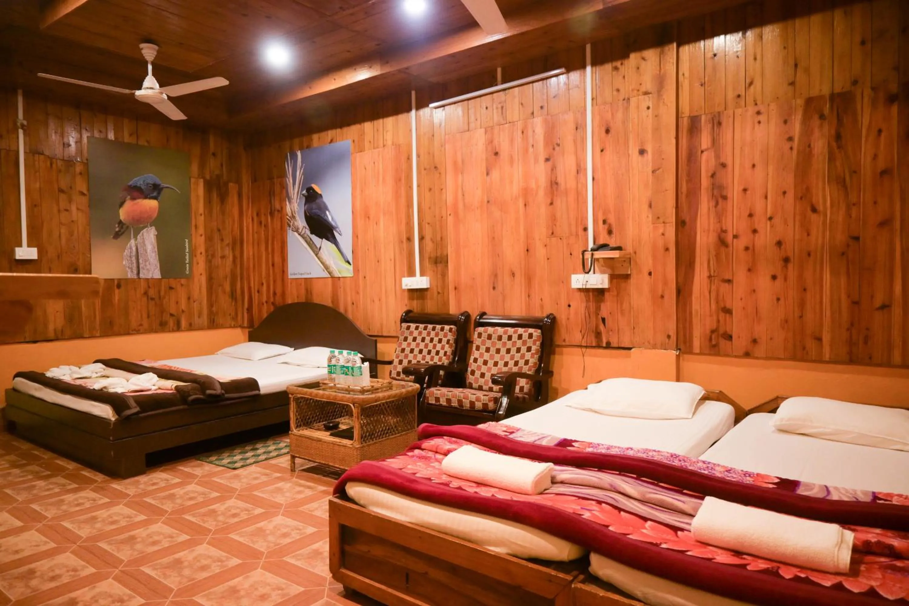 Photo of the whole room in Aranya Jungle Resorts