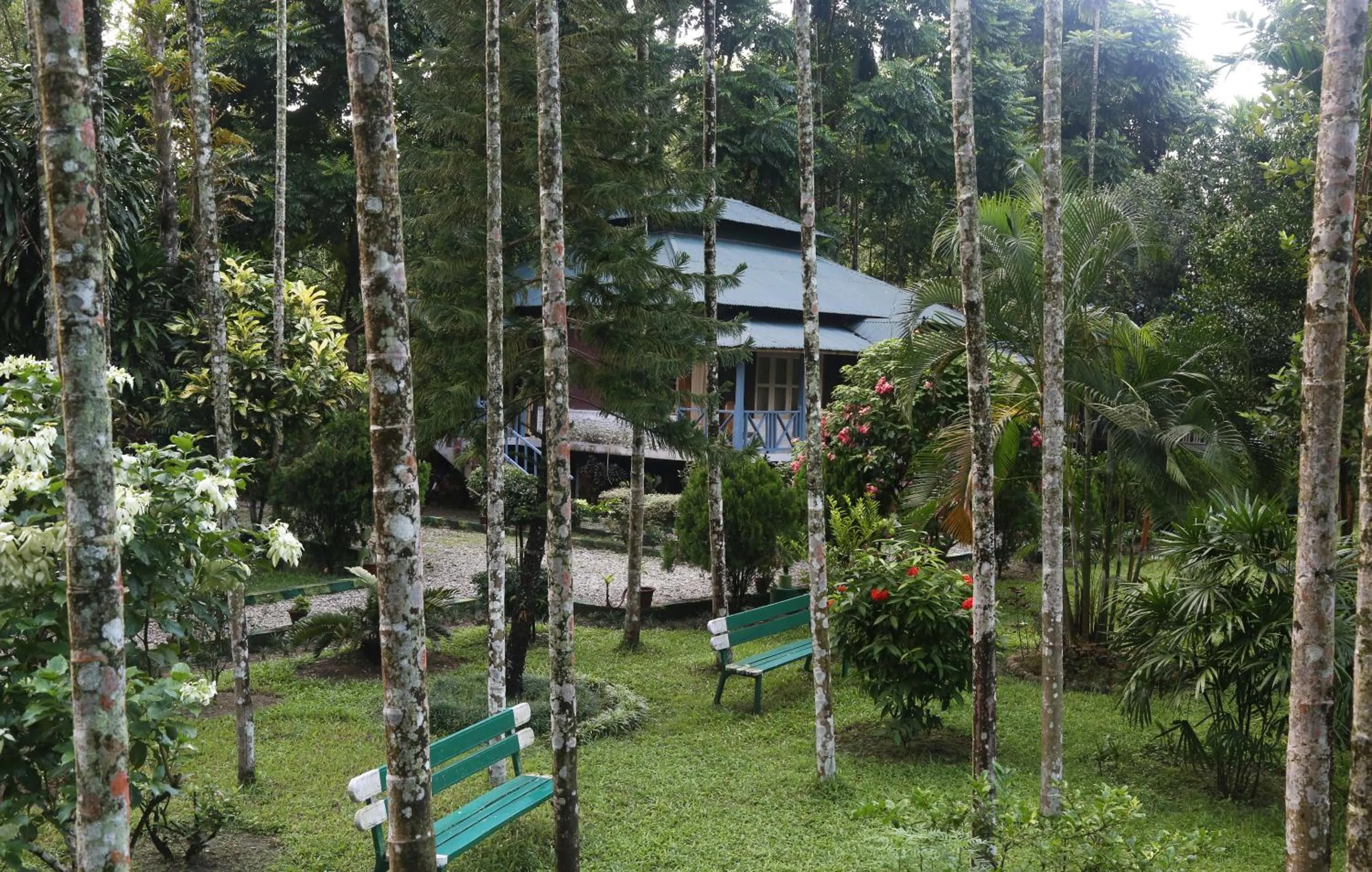 Children play ground in Aranya Jungle Resorts