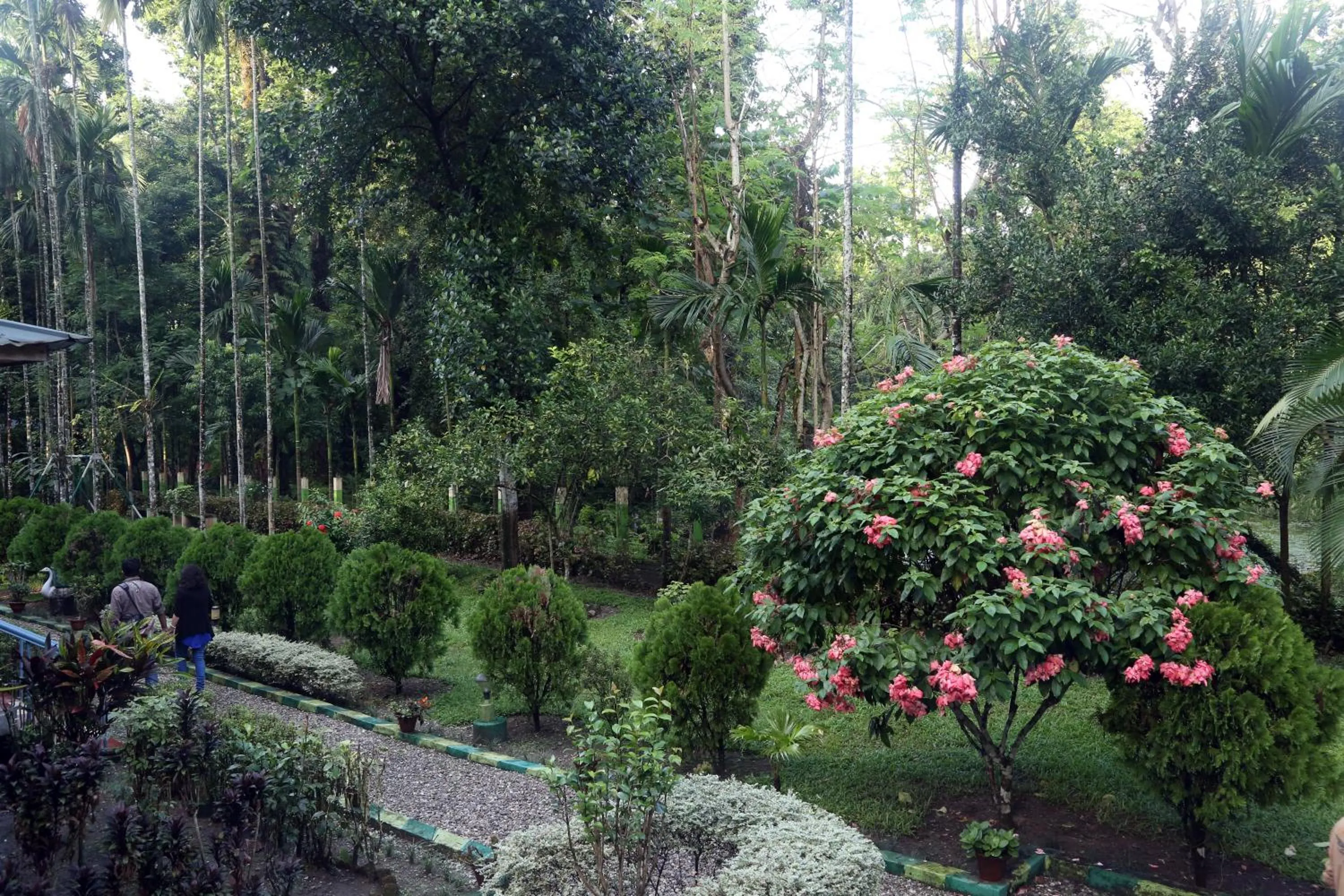 Garden in Aranya Jungle Resorts