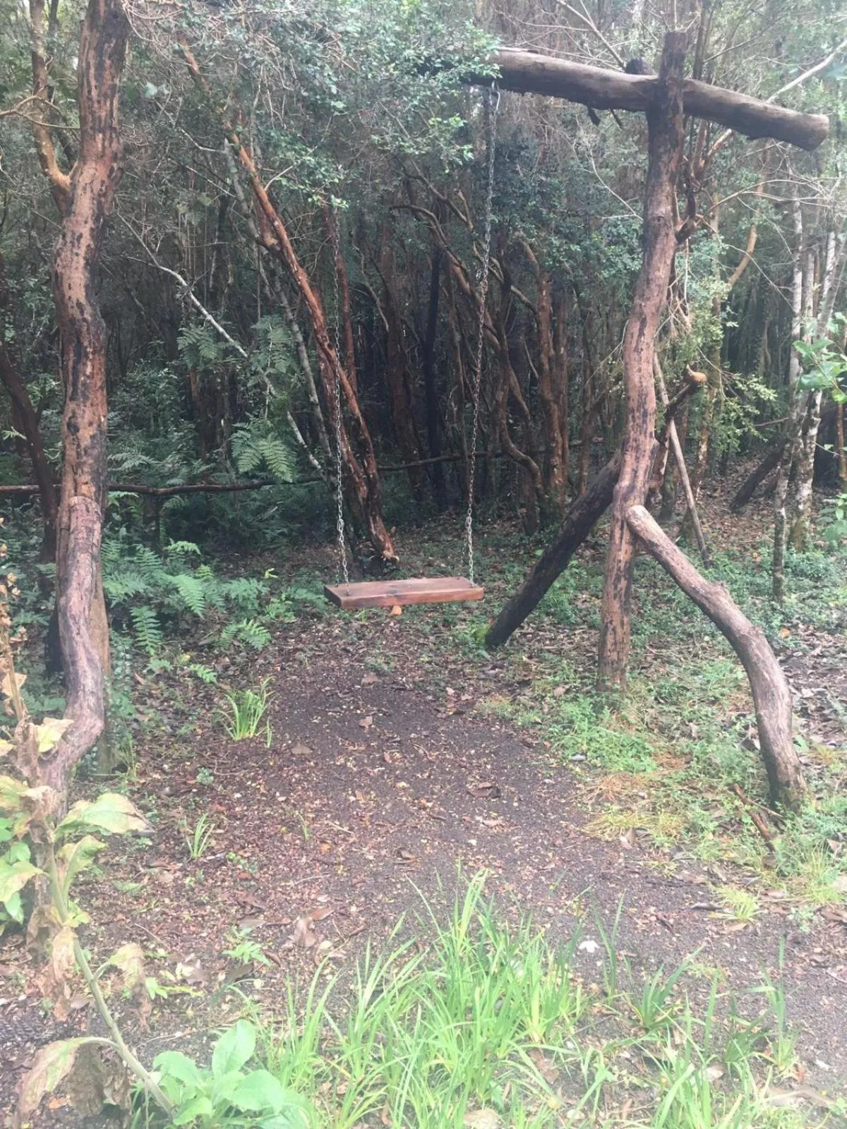 Game Room in Cabañas Ensenada Bosque Nativo