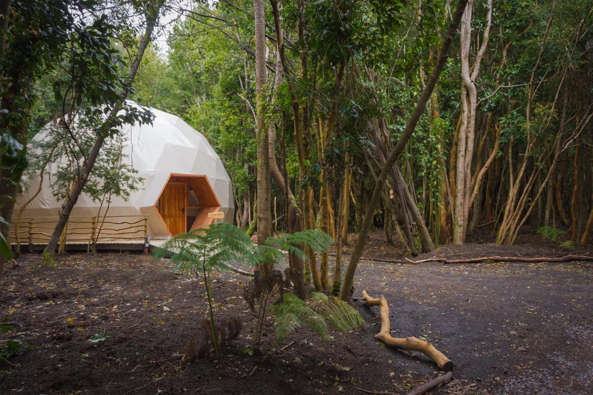 Photo of the whole room in Cabañas Ensenada Bosque Nativo