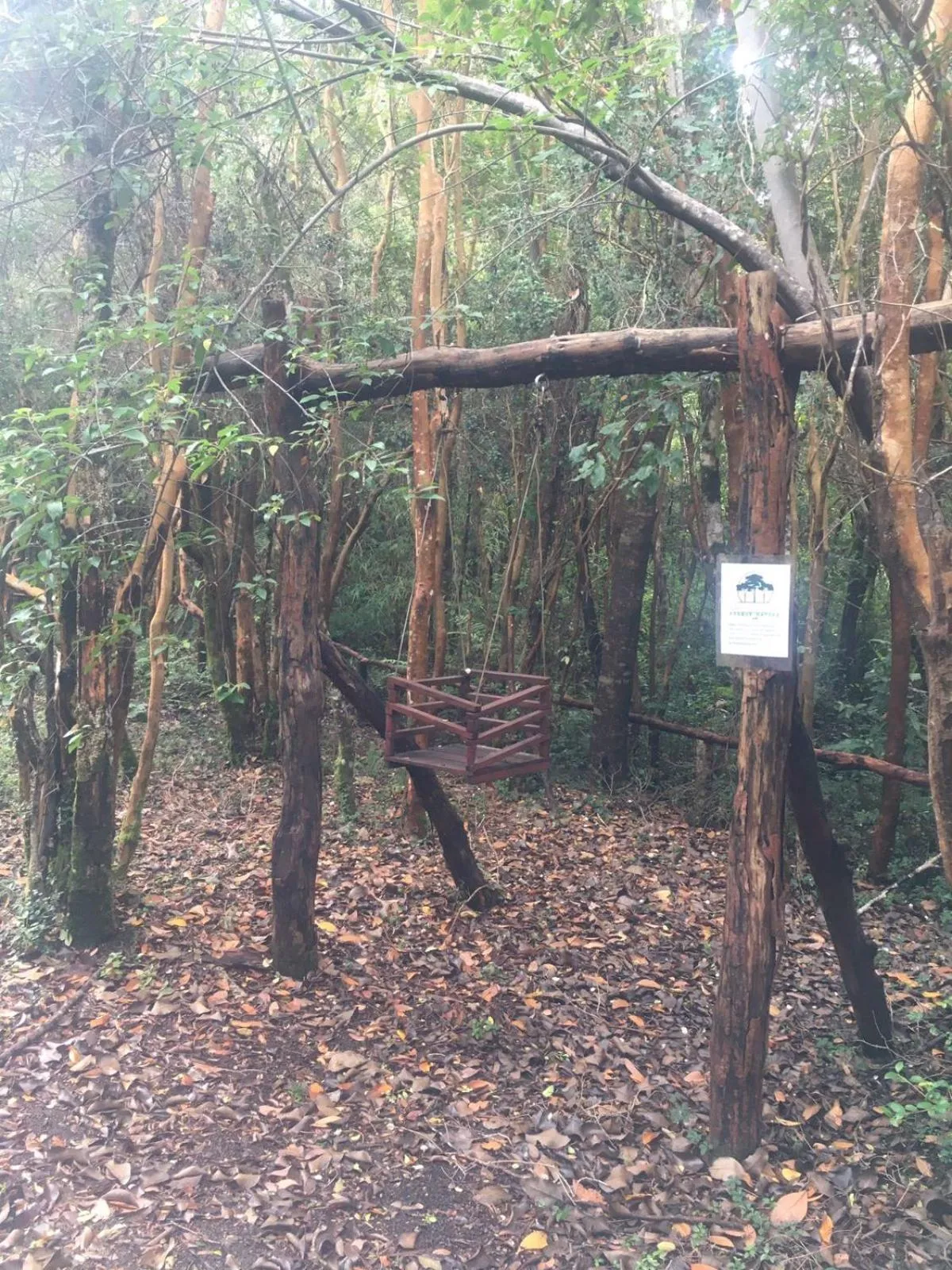 Game Room in Cabañas Ensenada Bosque Nativo