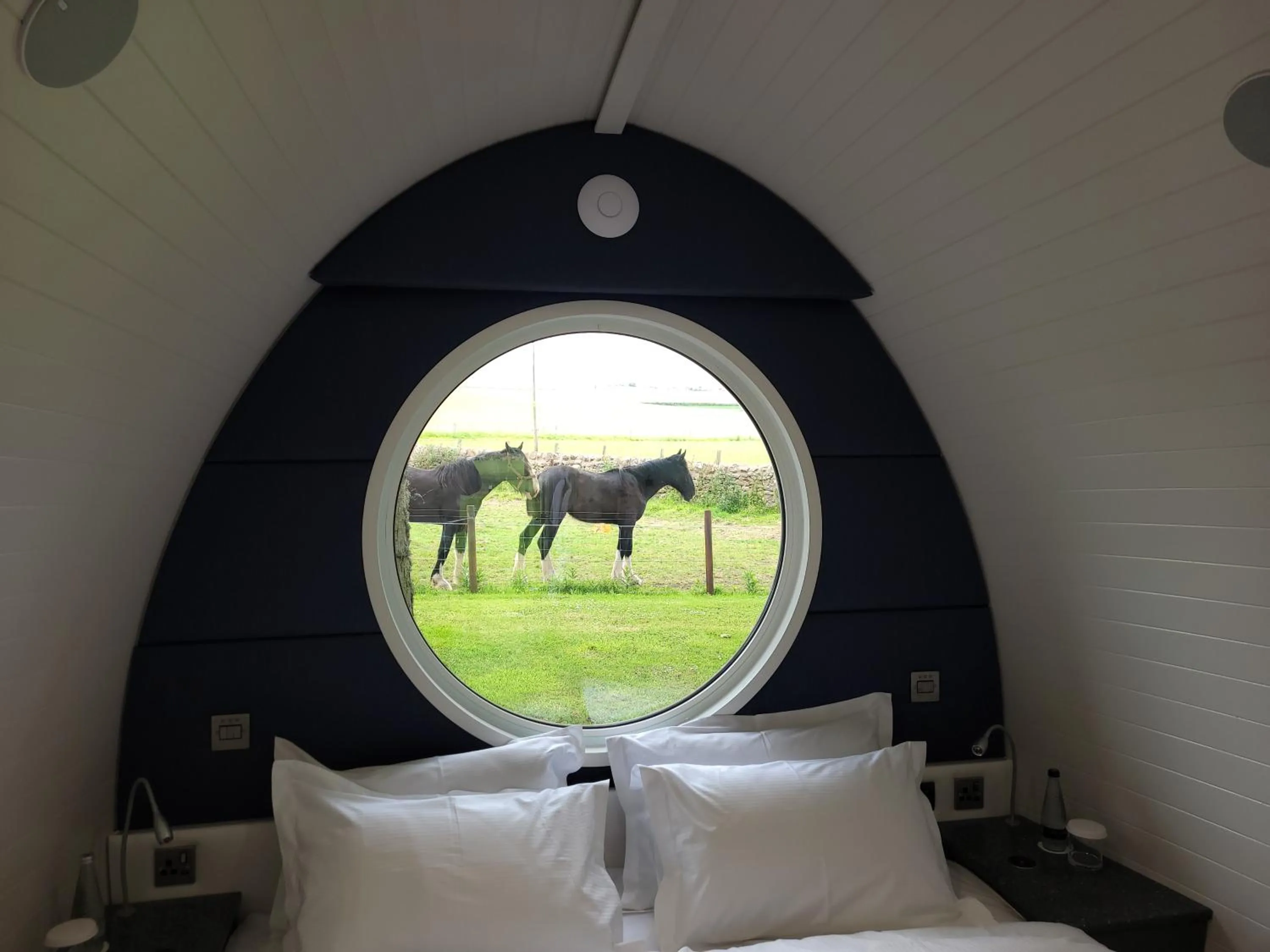 View (from property/room), Bed in Marshall Meadows Manor House